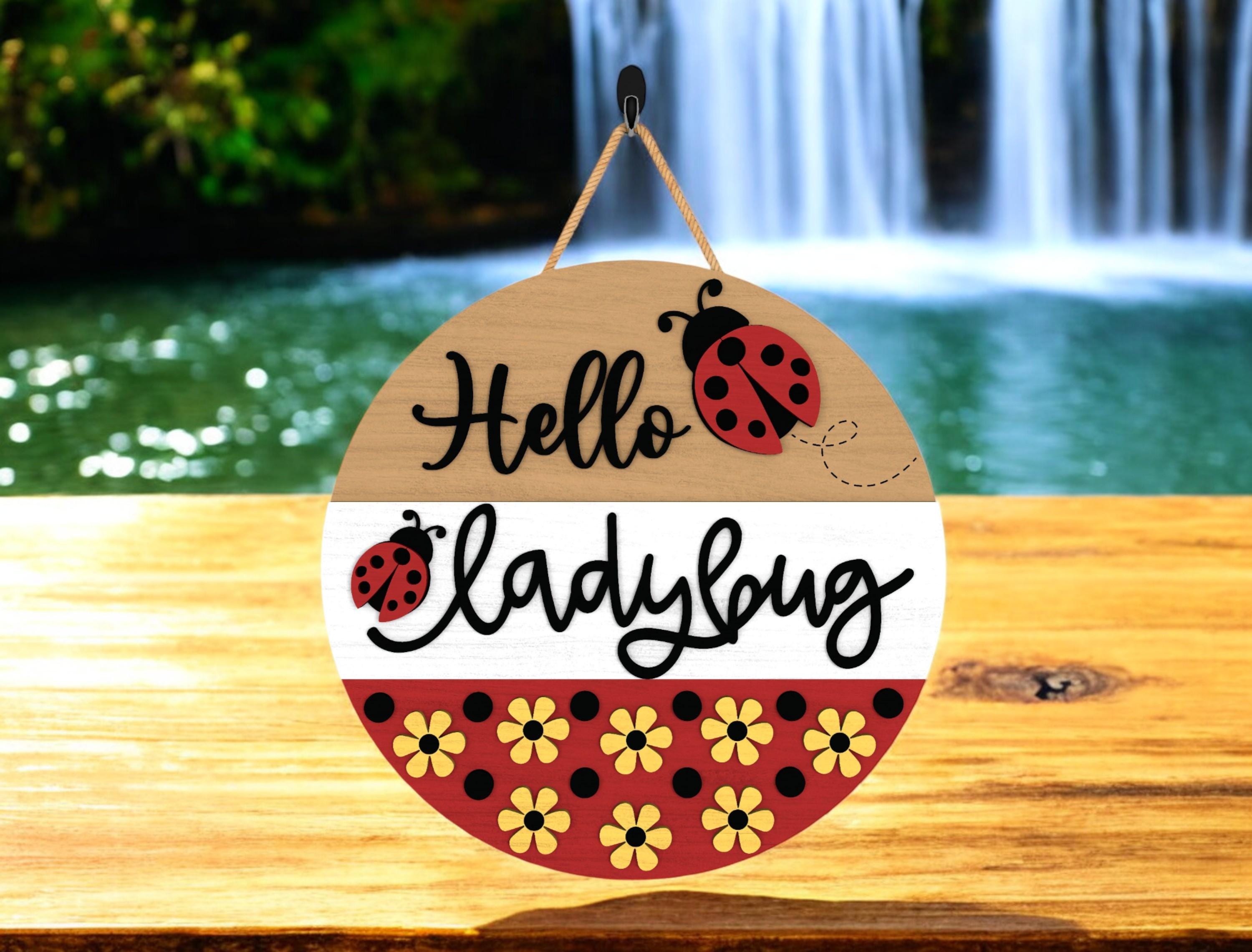 Hello Ladybug DIY Door Hanger Kit, Summer Door Sign, Laser Cut Wood Craft Kit, Cute Summer Ladybug Decor, MDF Wood Wall Hanging