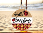 Hello Ladybug DIY Door Hanger Kit, Summer Door Sign, Laser Cut Wood Craft Kit, Cute Summer Ladybug Decor, MDF Wood Wall Hanging
