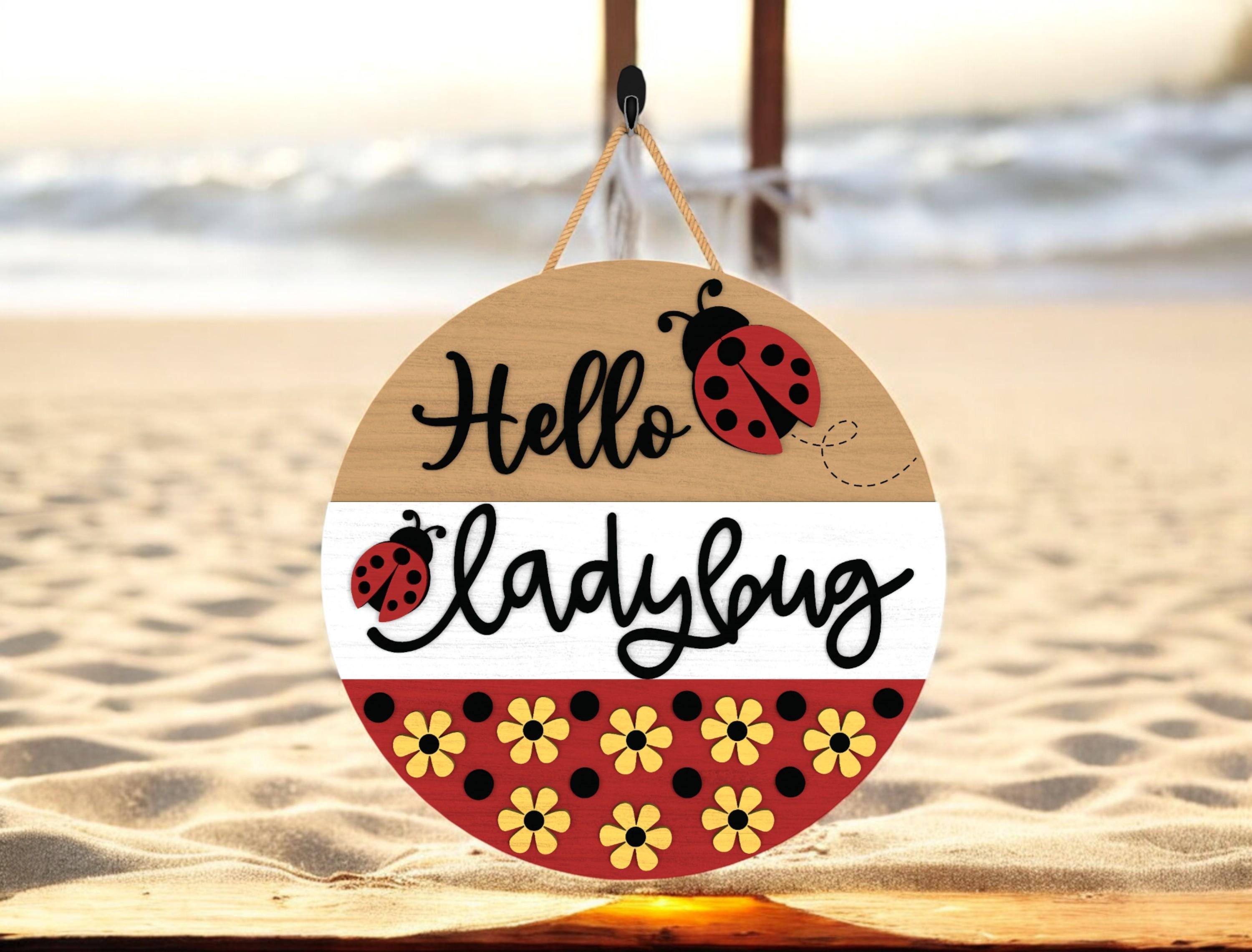 Hello Ladybug DIY Door Hanger Kit, Summer Door Sign, Laser Cut Wood Craft Kit, Cute Summer Ladybug Decor, MDF Wood Wall Hanging