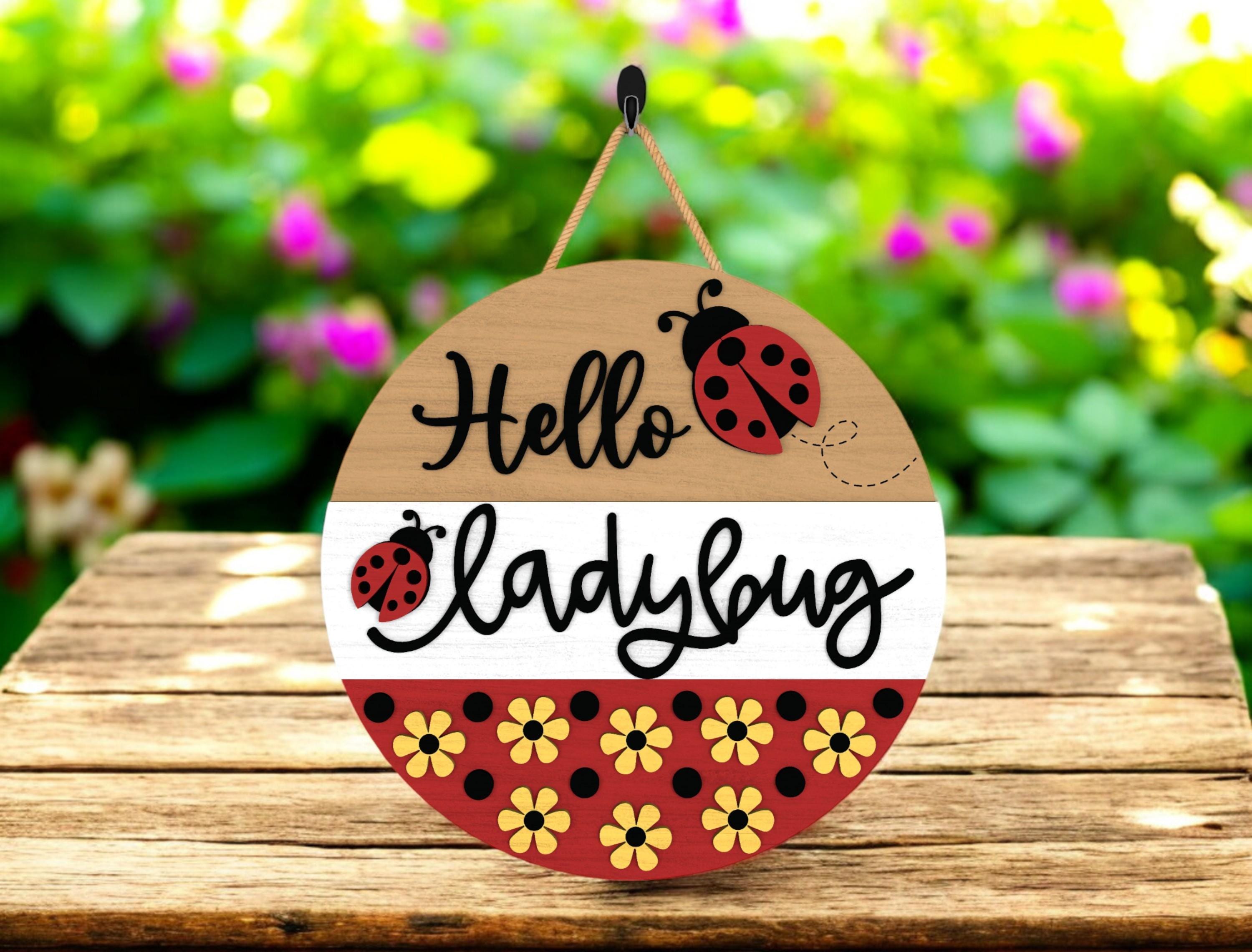 Hello Ladybug DIY Door Hanger Kit, Summer Door Sign, Laser Cut Wood Craft Kit, Cute Summer Ladybug Decor, MDF Wood Wall Hanging