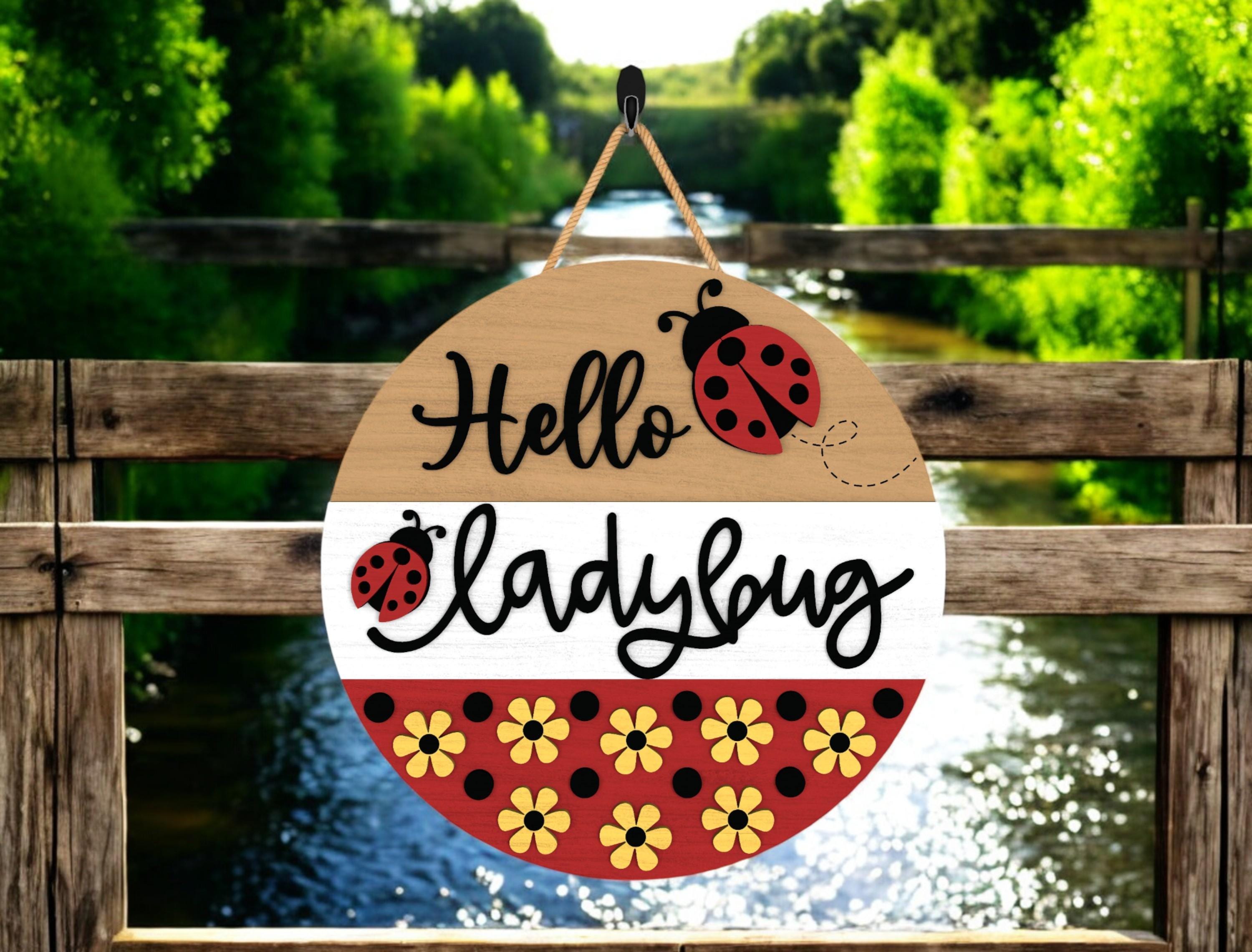 Hello Ladybug DIY Door Hanger Kit, Summer Door Sign, Laser Cut Wood Craft Kit, Cute Summer Ladybug Decor, MDF Wood Wall Hanging
