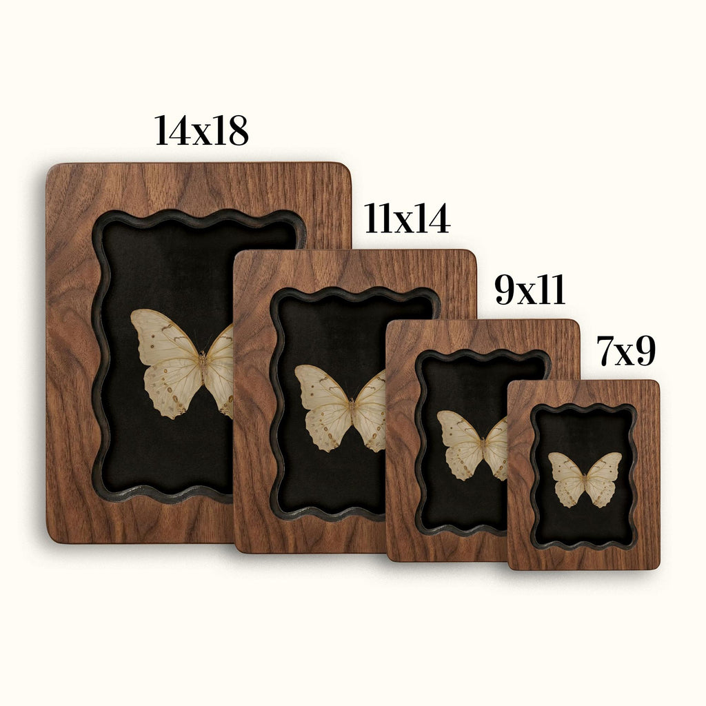 Butterfly Specimen Wood Framed Art, Wavy Scalloped Edge Scalloped Frame, 3-Layer Plywood Shadow Box, Dark Academia Decor