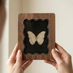 Butterfly Specimen Wood Framed Art, Wavy Scalloped Edge Scalloped Frame, 3-Layer Plywood Shadow Box, Dark Academia Decor