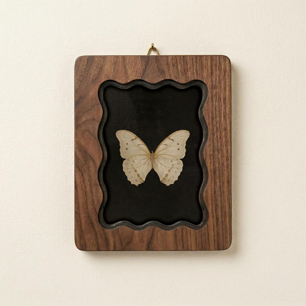 Butterfly Specimen Wood Framed Art, Wavy Scalloped Edge Scalloped Frame, 3-Layer Plywood Shadow Box, Dark Academia Decor