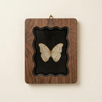 Butterfly Specimen Wood Framed Art, Wavy Scalloped Edge Scalloped Frame, 3-Layer Plywood Shadow Box, Dark Academia Decor