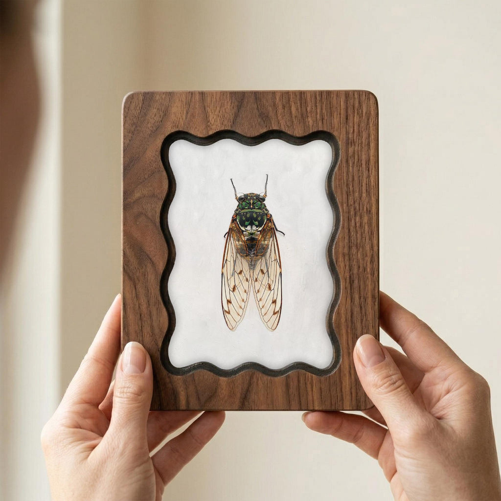 Cicada Taxidermy Wall Art, Scalloped Wood Frame, Vintage Insect Print on Canvas, Dark Academia Decor, Layered Plywood Frame 7x9 11x14 14x18