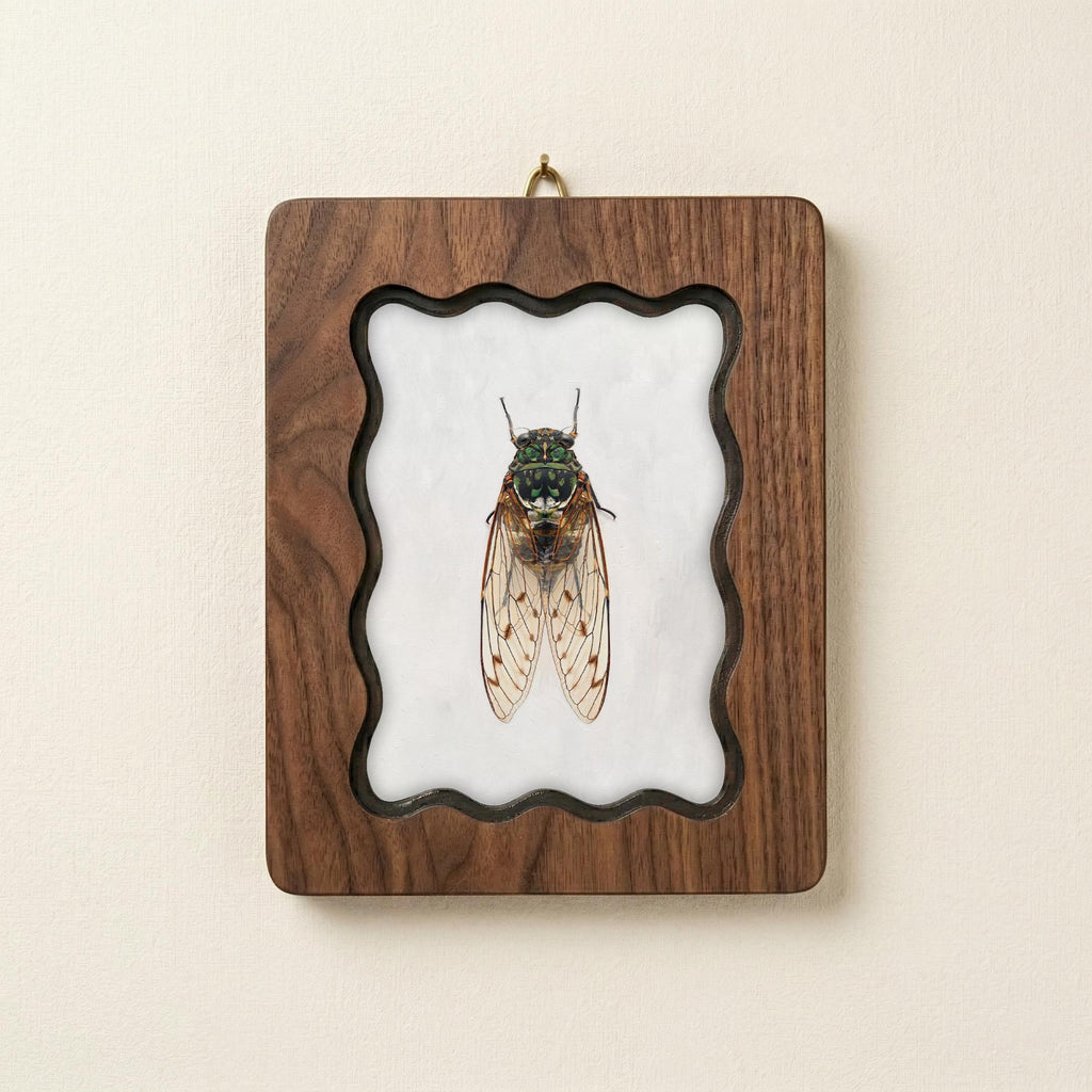 Cicada Taxidermy Wall Art, Scalloped Wood Frame, Vintage Insect Print on Canvas, Dark Academia Decor, Layered Plywood Frame 7x9 11x14 14x18