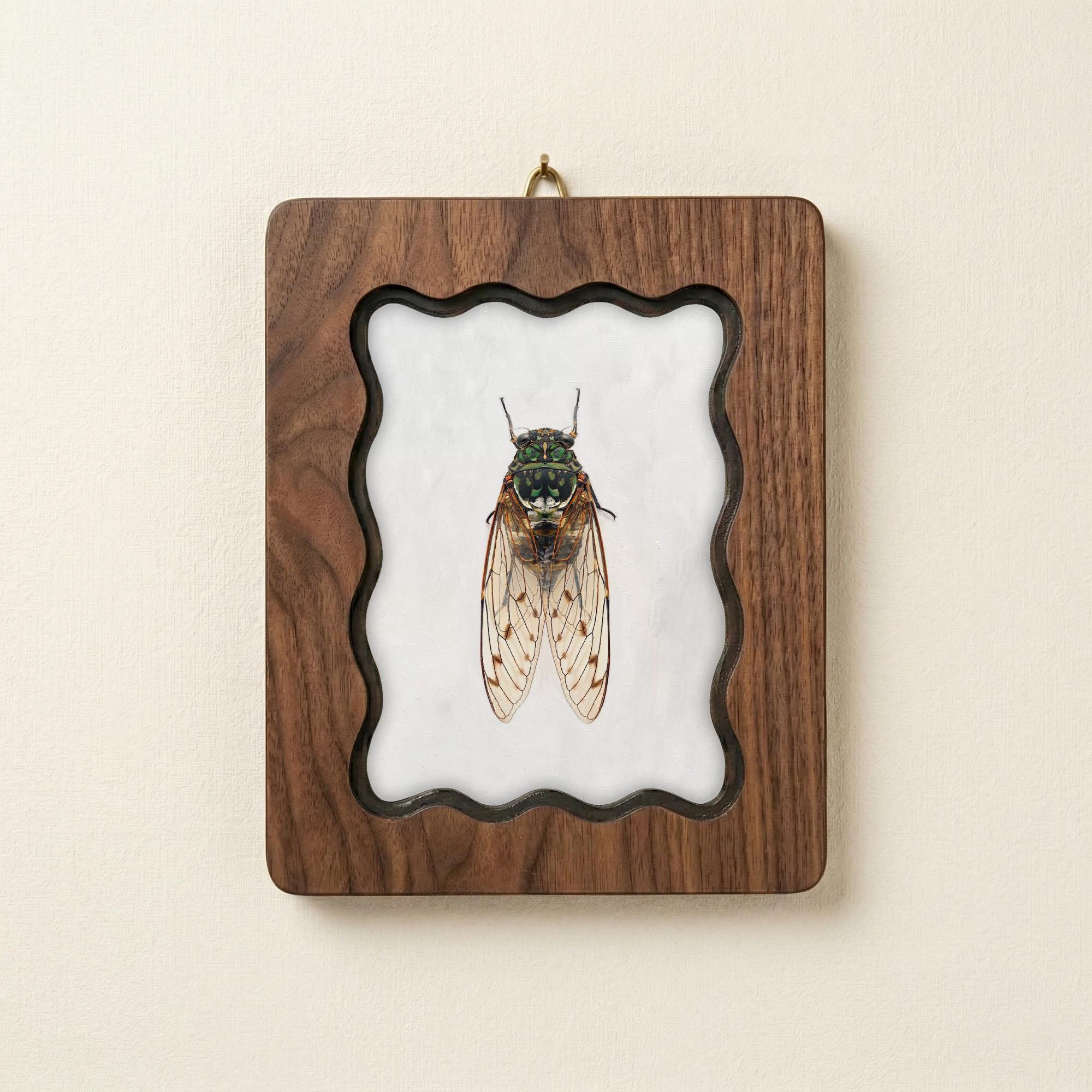 Cicada Taxidermy Wall Art, Scalloped Wood Frame, Vintage Insect Print on Canvas, Dark Academia Decor, Layered Plywood Frame 7x9 11x14 14x18