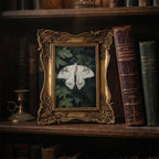 Dark Academia Moth Art, Victorian Gold Framed Butterfly, Gothic Wall Decor, White Moth Canvas Print, Vintage Ornate Frame, Moody Home Gift