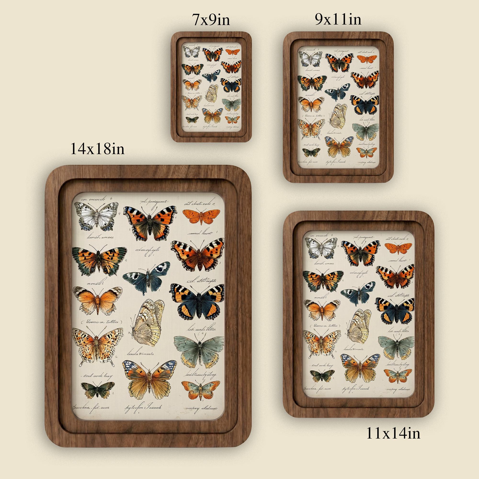 Butterfly Wall Art, Vintage Moth Print, Cottagecore Decor, Framed Canvas Wood Art, Entomology Gift, Dark Academia Wall Decor, Nature Art