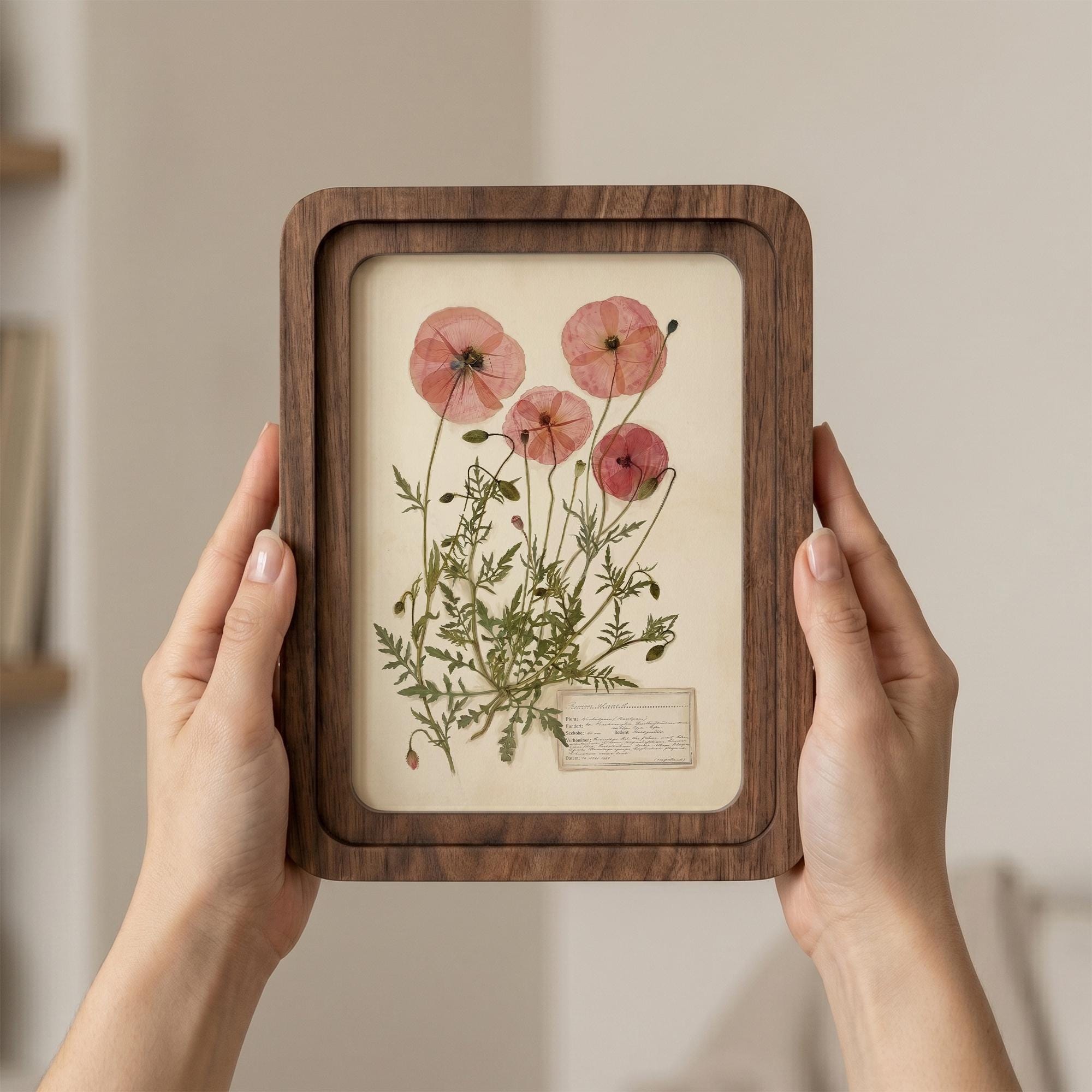 Pink Poppy Wall Art, Pressed Flower Print, Vintage Herbarium Decor, Framed Canvas Wood Art, Botanical Poppy Gift, Cottagecore Home Decor