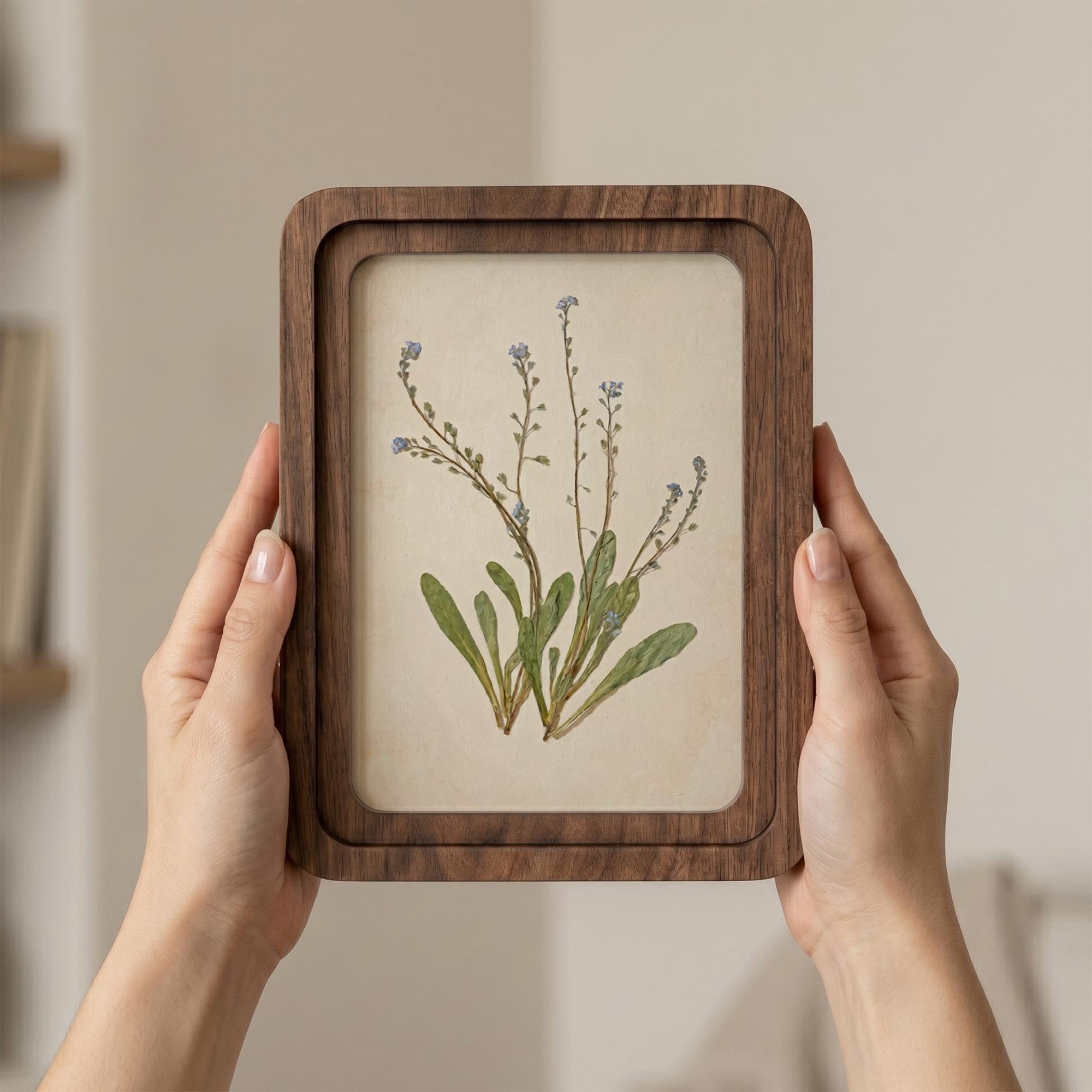 Forget Me Not Wall Art, Vintage Botanical Print, Cottagecore Decor, Framed Canvas Wood Art, Blue Wildflower Gift, Nature Art,Farmhouse Decor