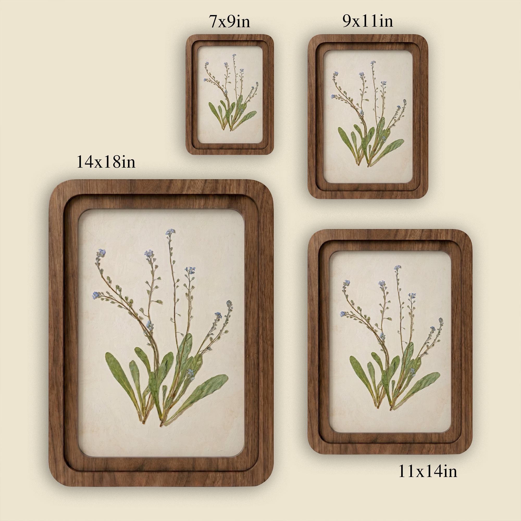 Forget Me Not Wall Art, Vintage Botanical Print, Cottagecore Decor, Framed Canvas Wood Art, Blue Wildflower Gift, Nature Art,Farmhouse Decor