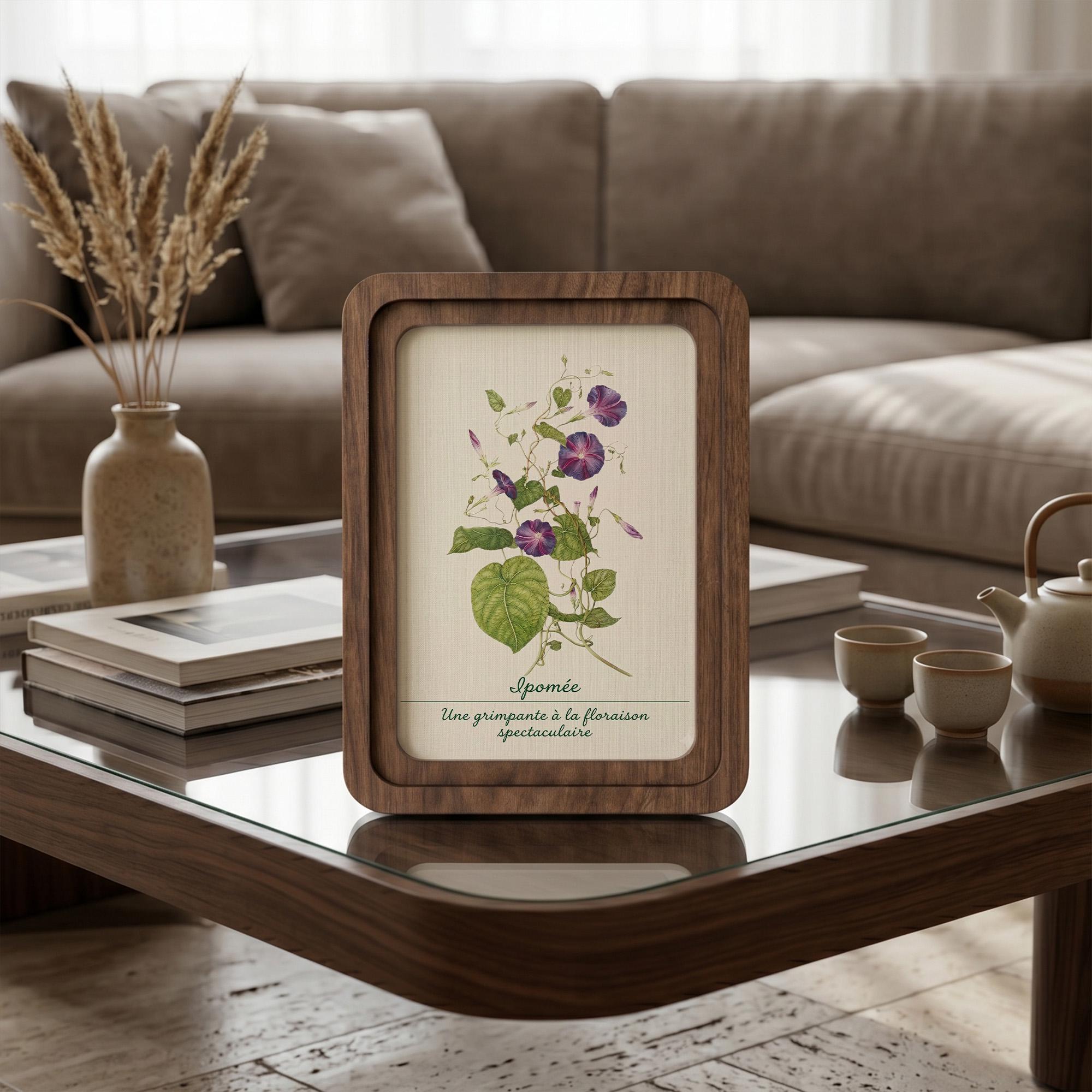 Morning Glory Wall Art, Vintage Botanical Print, Cottagecore Decor, Framed Canvas Wood Art, Purple Flower Gift, Ipomée Art,Nature Wall Decor