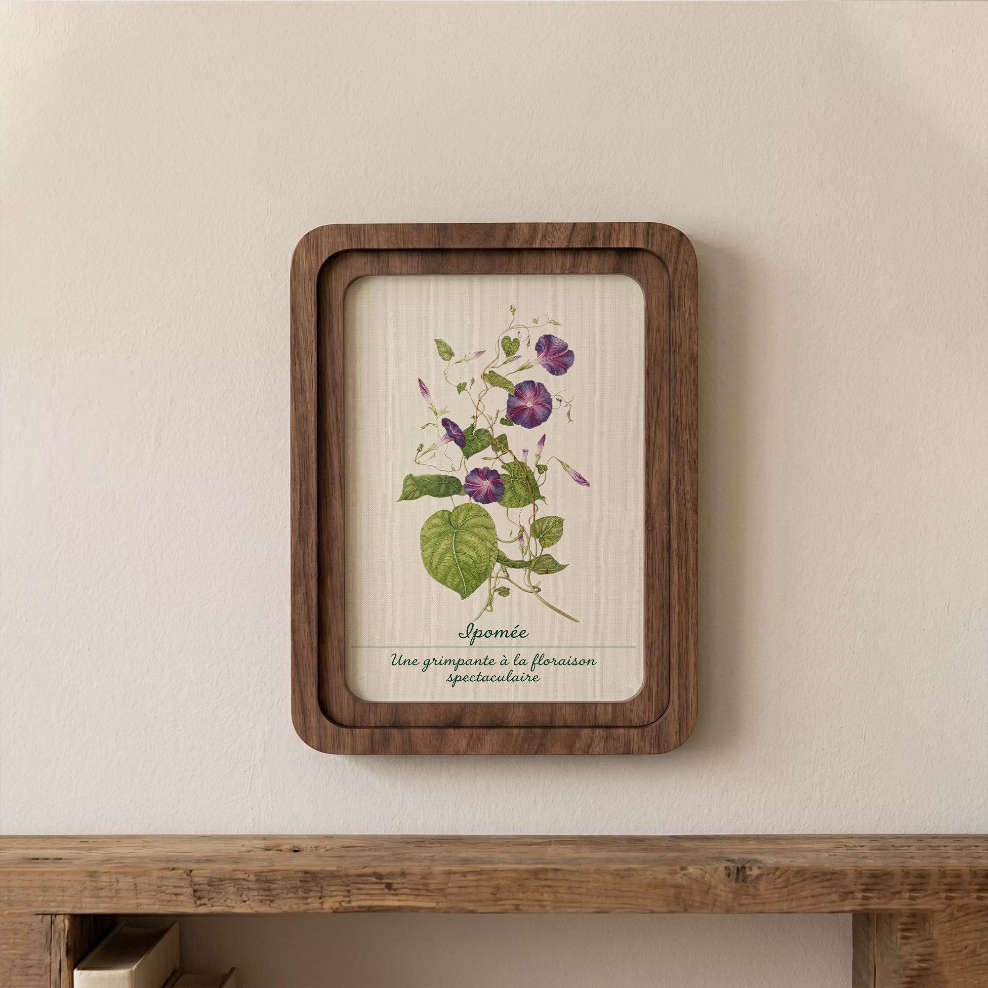 Morning Glory Wall Art, Vintage Botanical Print, Cottagecore Decor, Framed Canvas Wood Art, Purple Flower Gift, Ipomée Art,Nature Wall Decor
