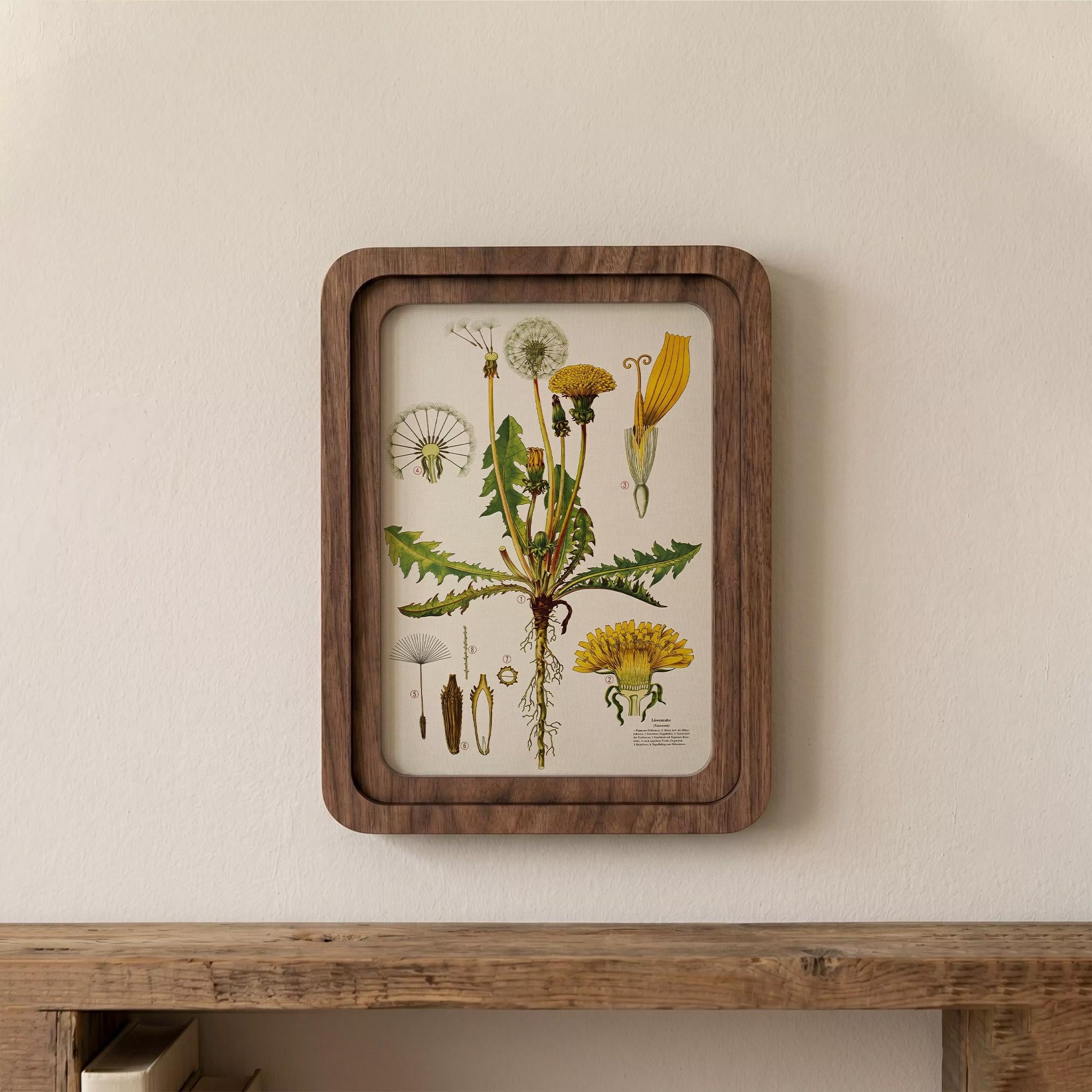Dandelion Wall Art, Vintage Botanical Print, Cottagecore Decor, Framed Canvas Wood Art, Yellow Flower Gift, Nature Study Art,Farmhouse Decor