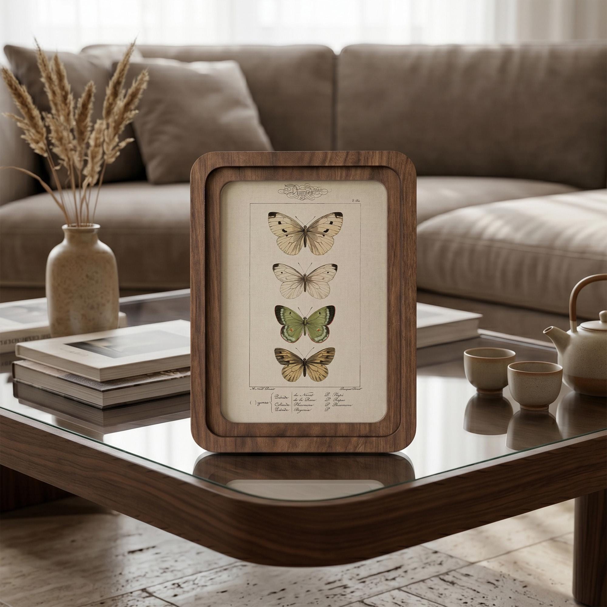 Butterfly Wall Art, Vintage Botanical Print, Cottagecore Decor, Framed Canvas Wood Art, Entomology Gift, Nature Wall Decor, Aesthetic Gift
