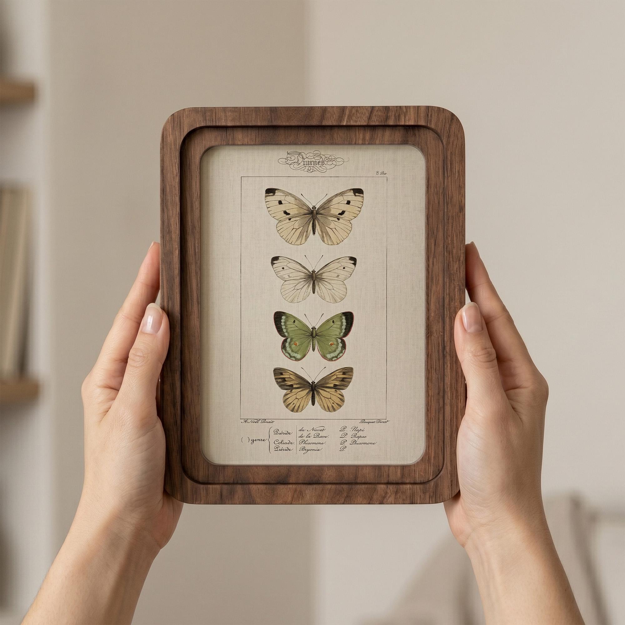 Butterfly Wall Art, Vintage Botanical Print, Cottagecore Decor, Framed Canvas Wood Art, Entomology Gift, Nature Wall Decor, Aesthetic Gift