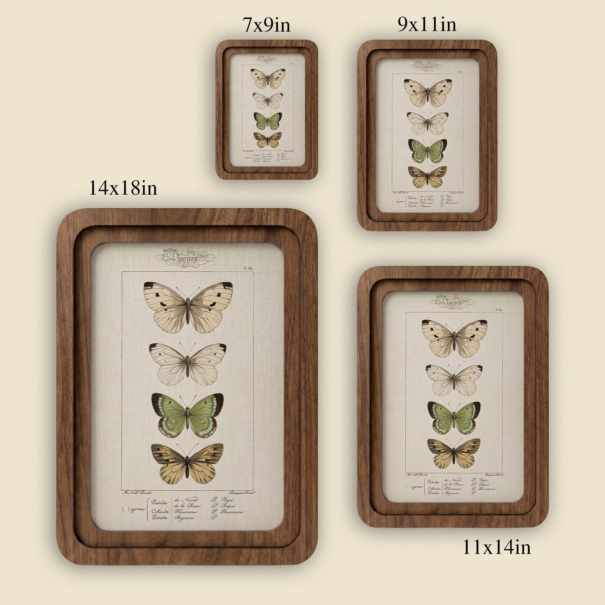 Butterfly Wall Art, Vintage Botanical Print, Cottagecore Decor, Framed Canvas Wood Art, Entomology Gift, Nature Wall Decor, Aesthetic Gift