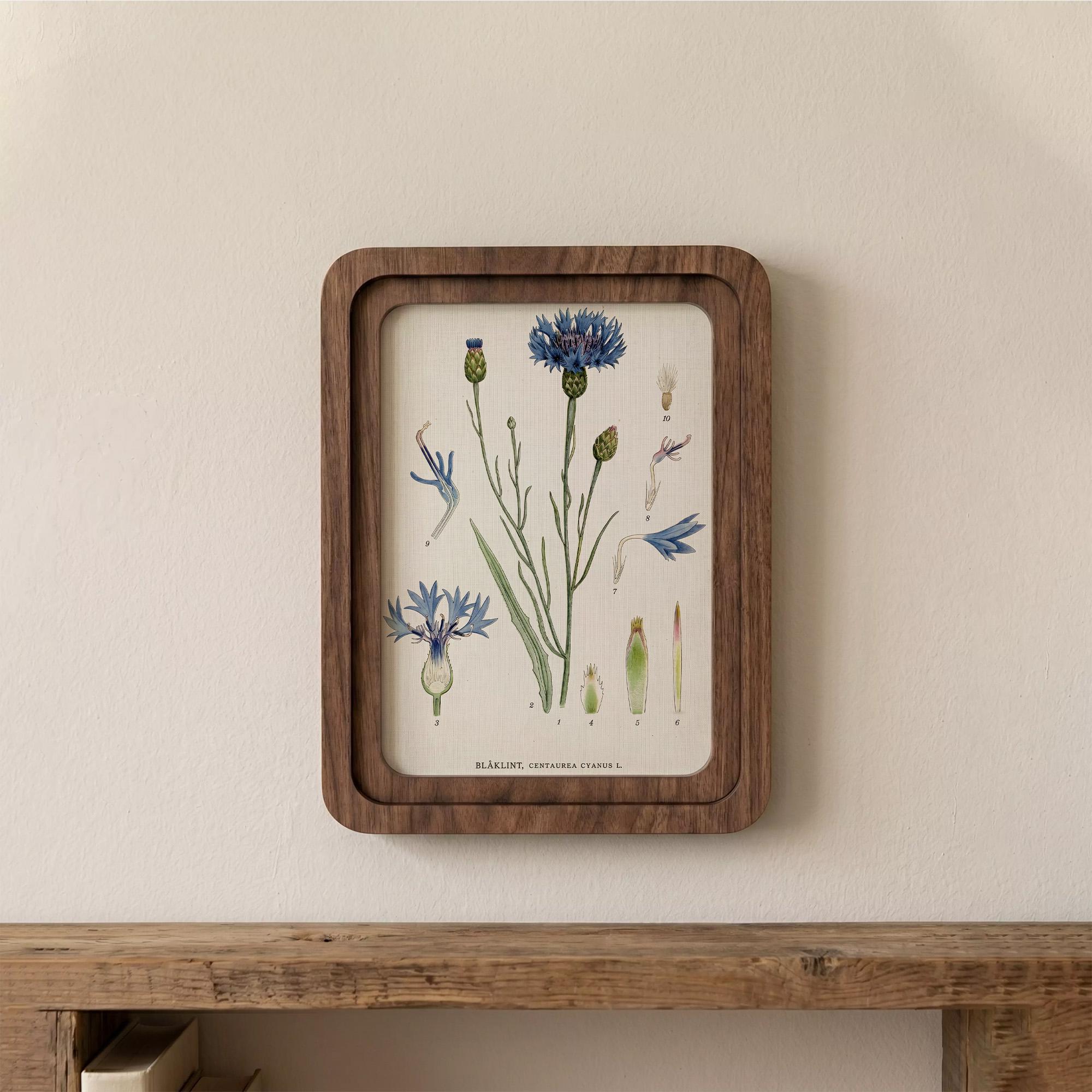 Cornflower Botanical Wall Art, Blue Flower Vintage Print on Canvas, 3D Layered Wood Frame, Wildflower Home Decor, Nature Lover Gift