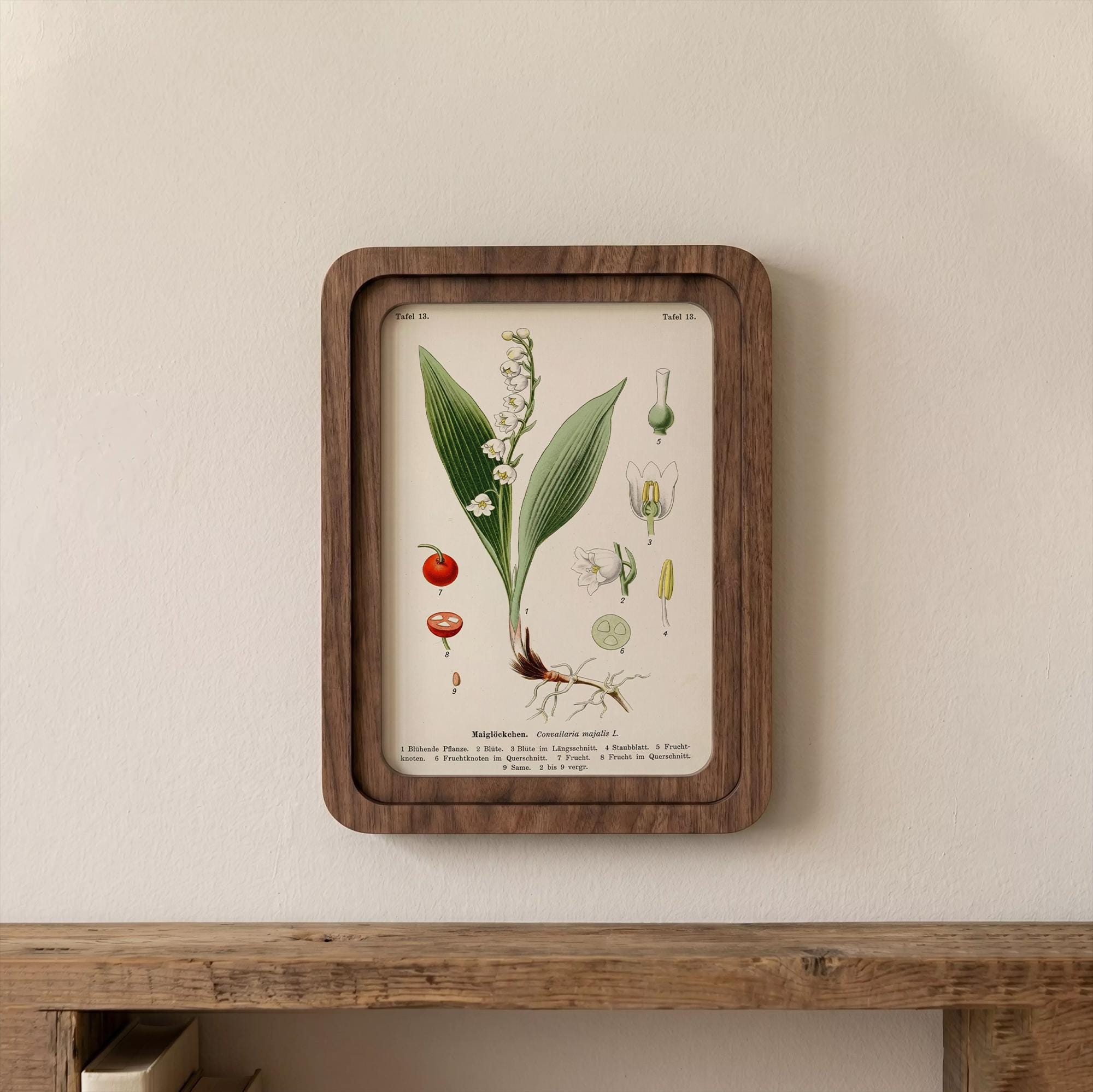 Lily of the Valley Botanical Wall Art Vintage Floral Print Wood Framed Canvas Lily of the Valley Gift May Birth Month Flower Nursery Decor