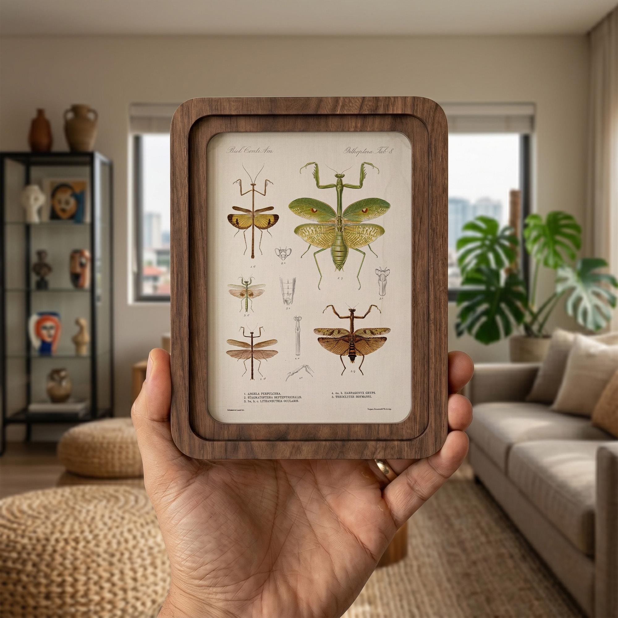 Praying Mantis Wall Art Vintage Entomology Print Wood Framed Canvas Insect Illustration Mantis Decor Dark Academia Art Science Teacher Gift