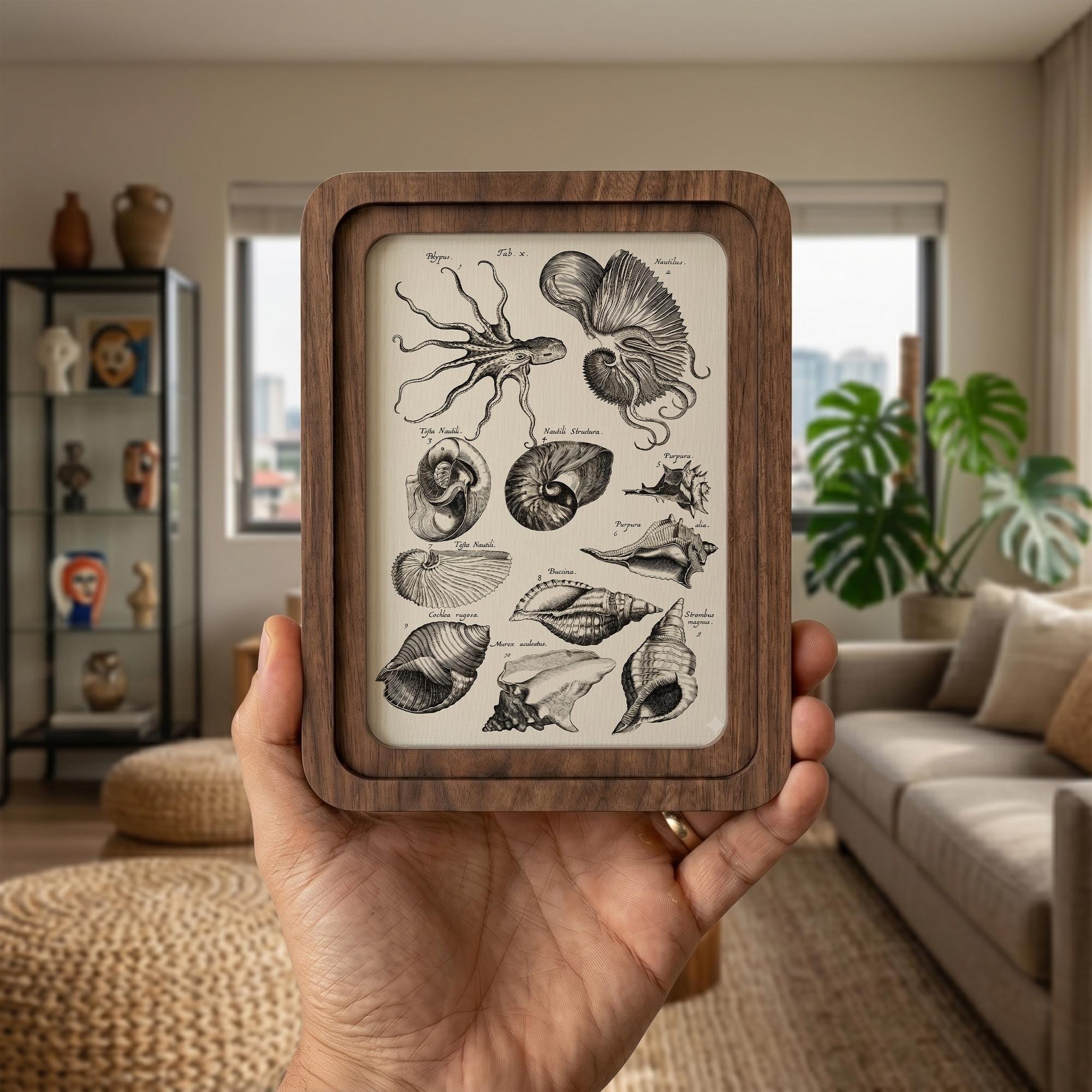 Octopus Vintage Sea Life Wall Art Framed Wood Decor, Nautical Shell Canvas Print, Ocean Biological Illustration, Coastal Beach House Gift