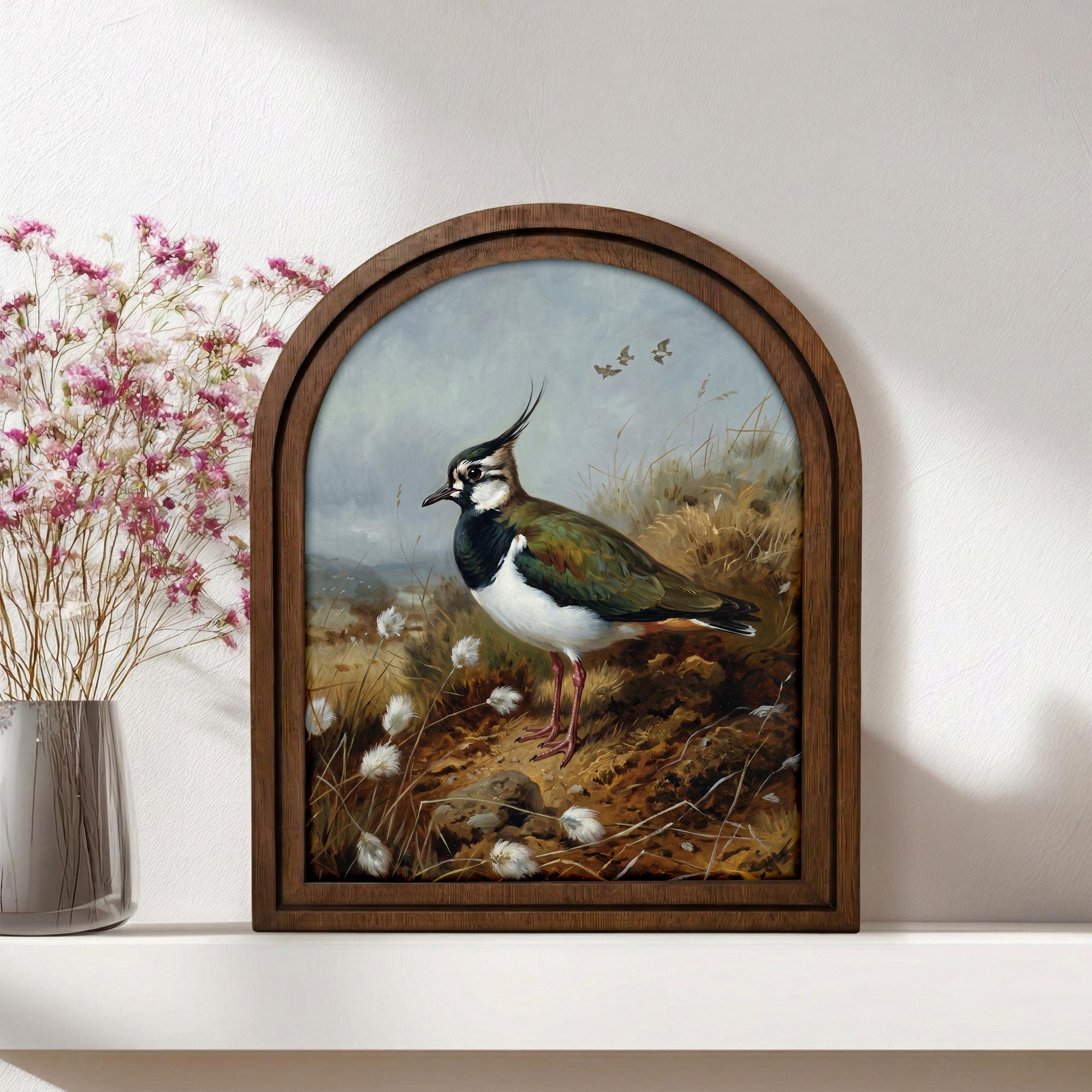Lapwing Bird Art, Wood Arch Framed Canvas, Vintage Wildlife Painting, Farmhouse Wall Decor, Plover Bird Print, Countryside Home Gift Art