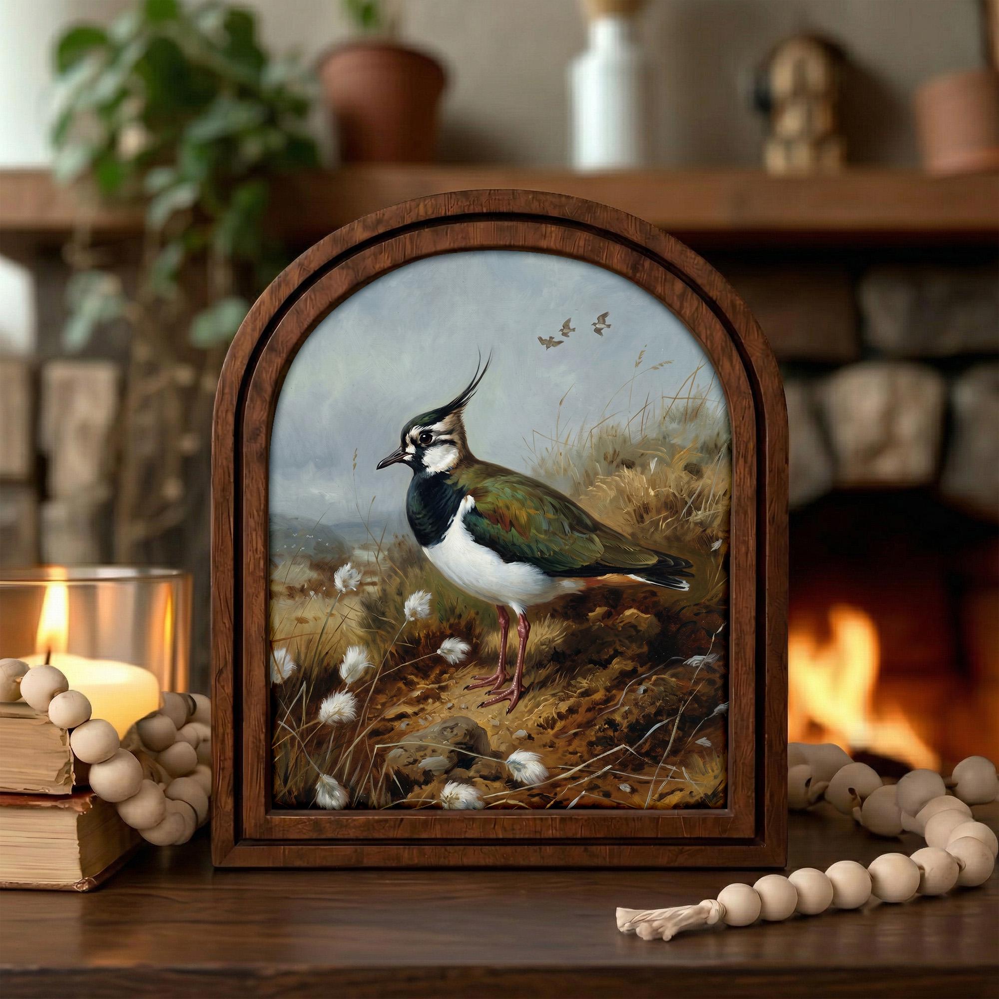 Lapwing Bird Art, Wood Arch Framed Canvas, Vintage Wildlife Painting, Farmhouse Wall Decor, Plover Bird Print, Countryside Home Gift Art
