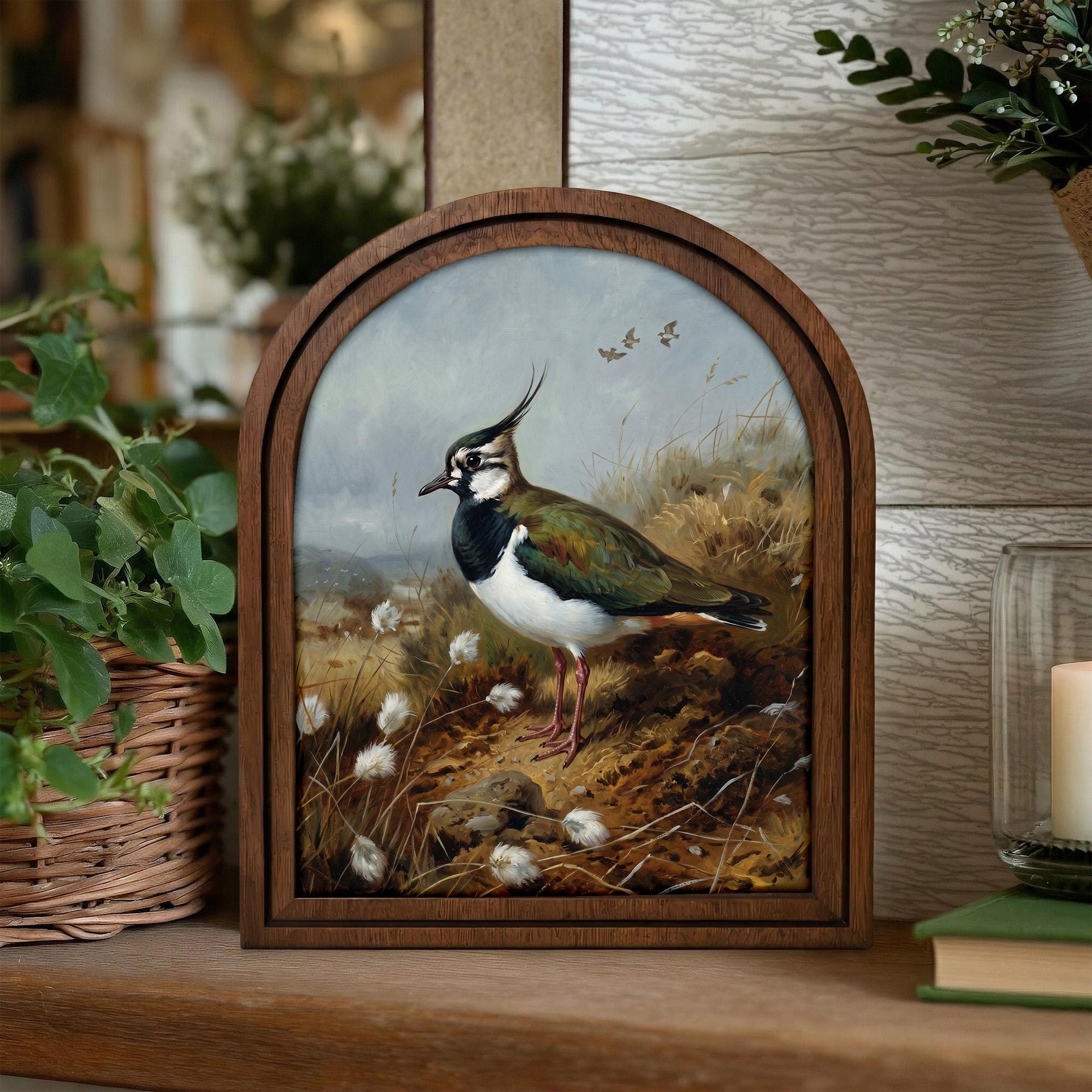 Lapwing Bird Art, Wood Arch Framed Canvas, Vintage Wildlife Painting, Farmhouse Wall Decor, Plover Bird Print, Countryside Home Gift Art