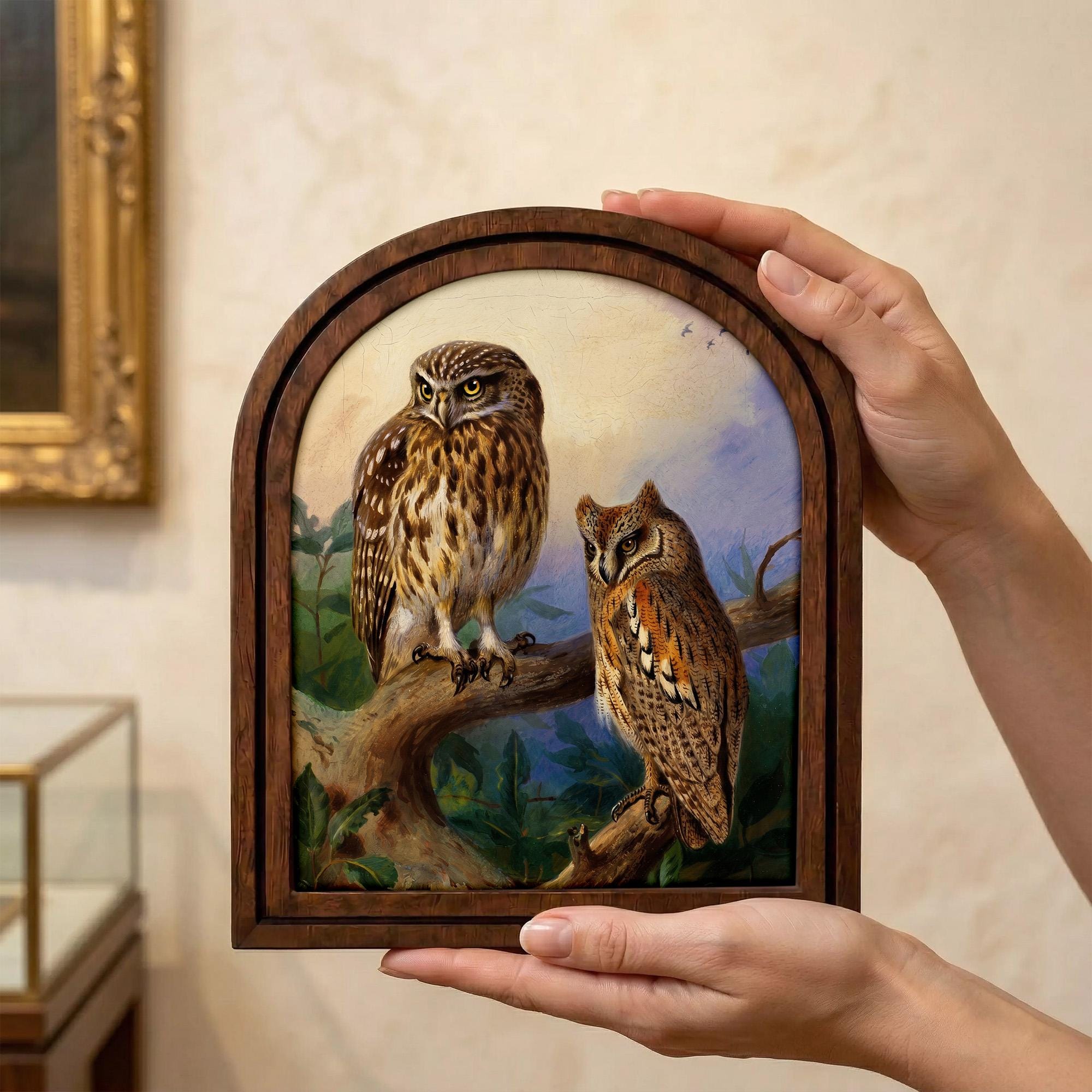 Vintage Owl Art, Arched Wood Frame, Dark Academia Decor, Owl Painting on Branch, Whimsical Gothic Wall Art, Cottagecore Framed Canvas Print