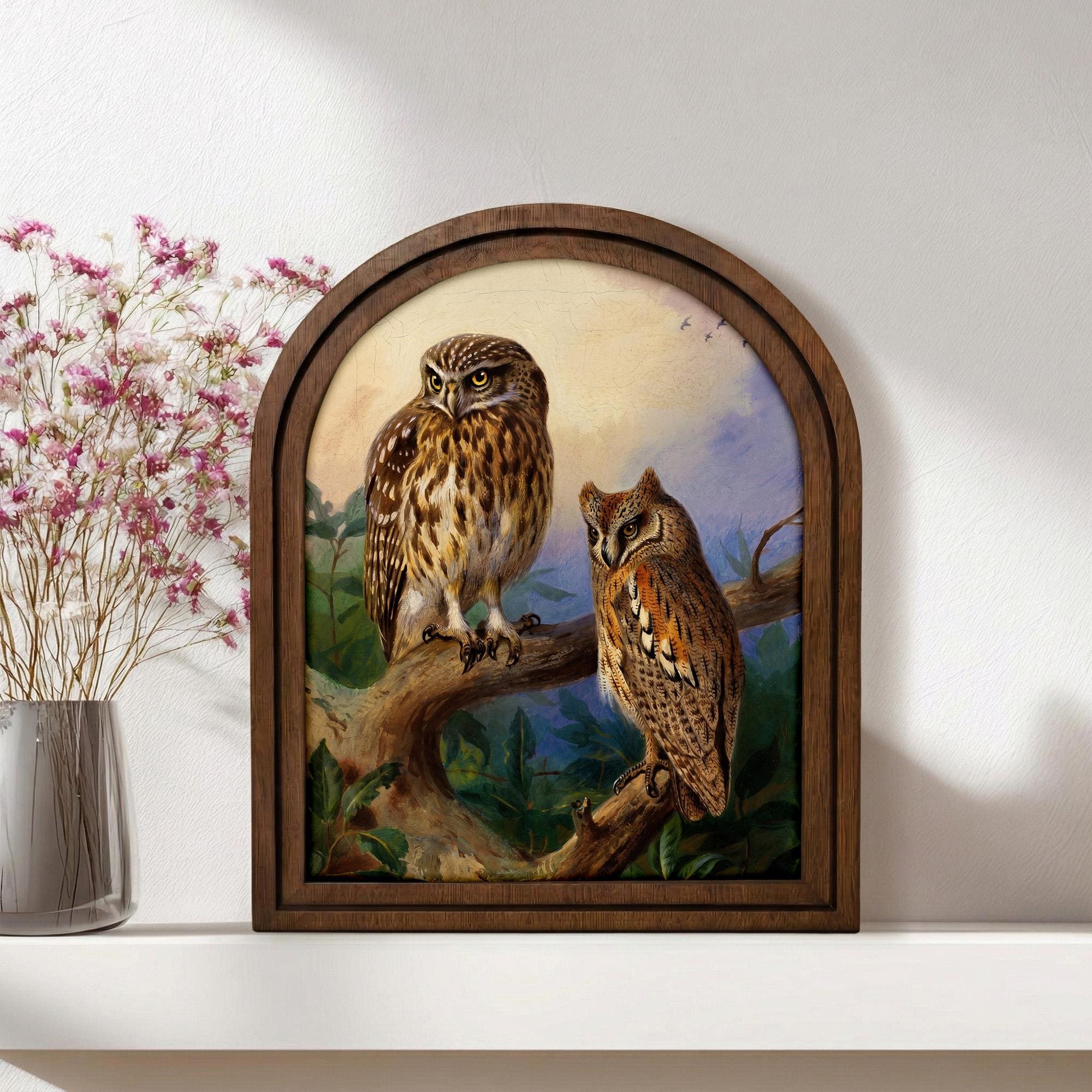 Vintage Owl Art, Arched Wood Frame, Dark Academia Decor, Owl Painting on Branch, Whimsical Gothic Wall Art, Cottagecore Framed Canvas Print
