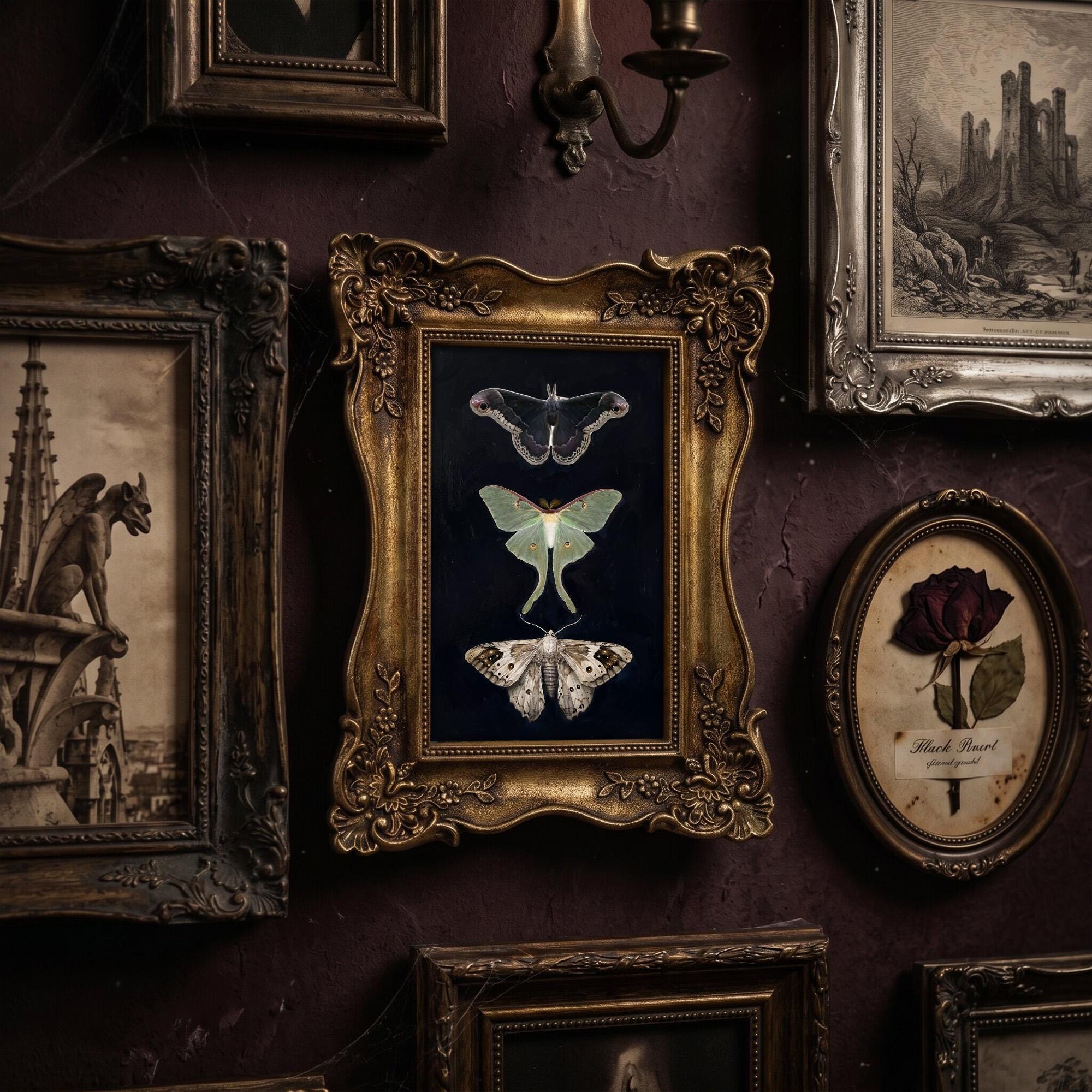 Dark Academia Moth Art, Luna Moth Gold Framed Print, Victorian Gothic Wall Decor, Vintage Insect Canvas, Ornate Gold Frame, Entomology Gift