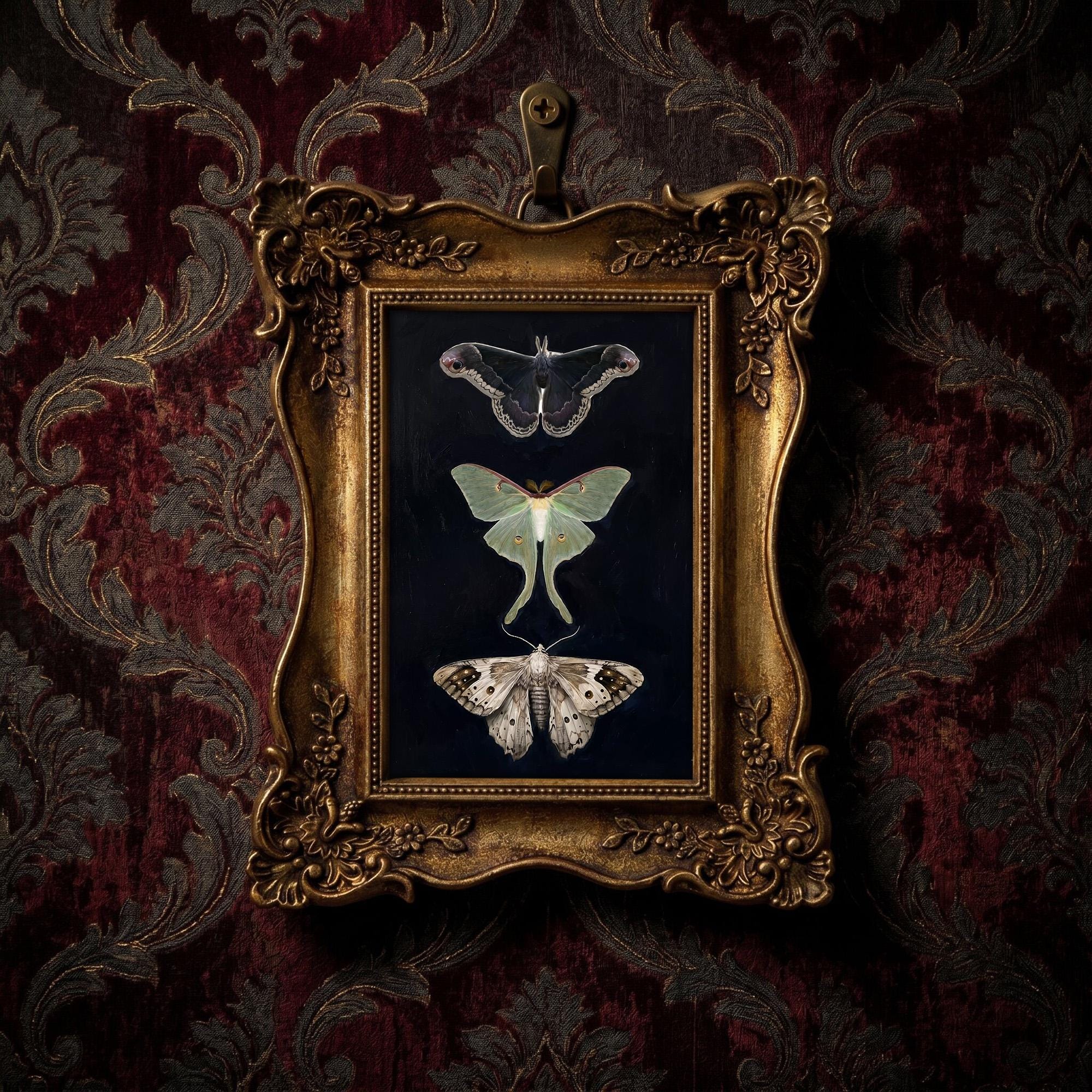 Dark Academia Moth Art, Luna Moth Gold Framed Print, Victorian Gothic Wall Decor, Vintage Insect Canvas, Ornate Gold Frame, Entomology Gift