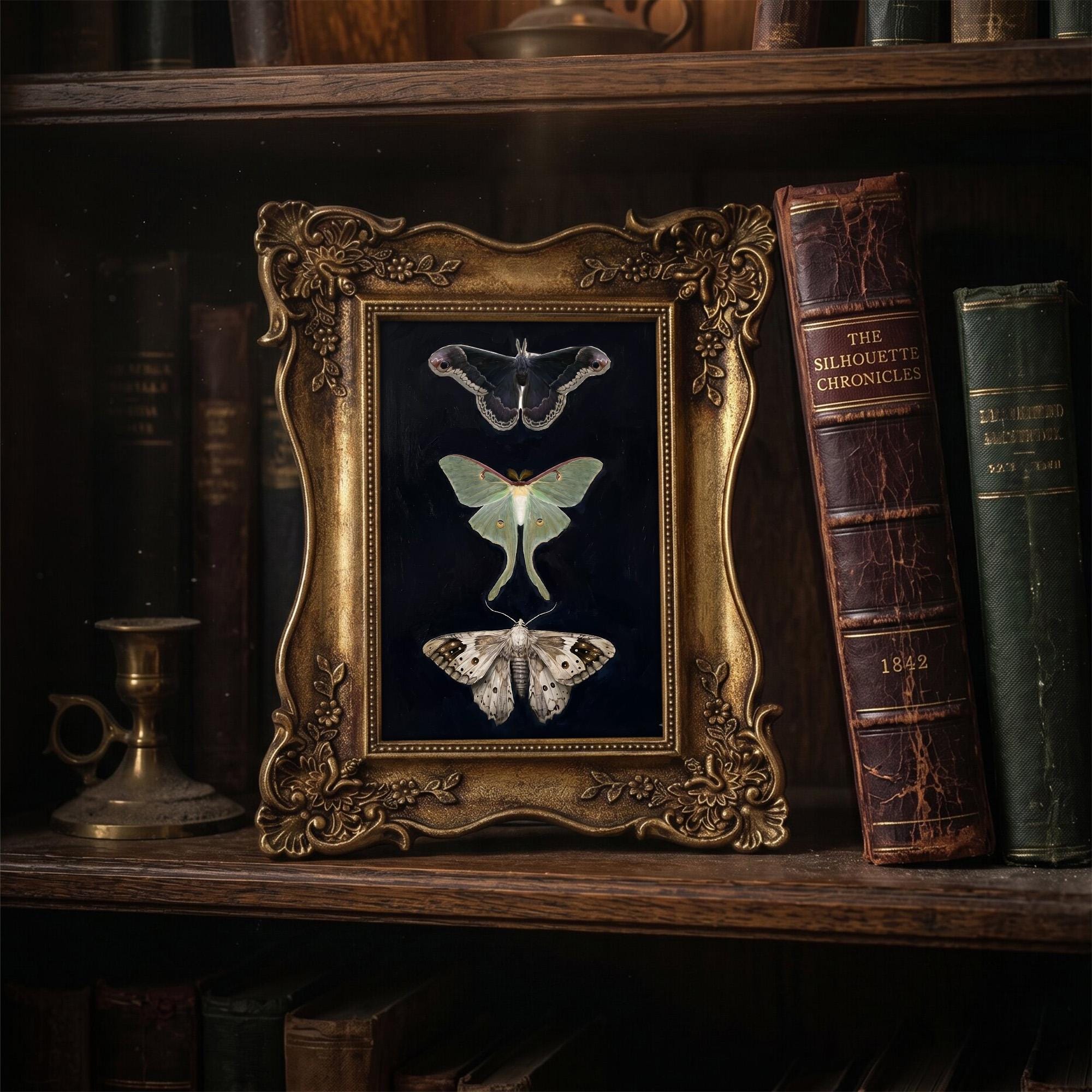 Dark Academia Moth Art, Luna Moth Gold Framed Print, Victorian Gothic Wall Decor, Vintage Insect Canvas, Ornate Gold Frame, Entomology Gift