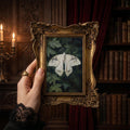 Dark Academia Moth Art, Victorian Gold Framed Butterfly, Gothic Wall Decor, White Moth Canvas Print, Vintage Ornate Frame, Moody Home Gift