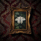 Dark Academia Moth Art, Victorian Gold Framed Butterfly, Gothic Wall Decor, White Moth Canvas Print, Vintage Ornate Frame, Moody Home Gift