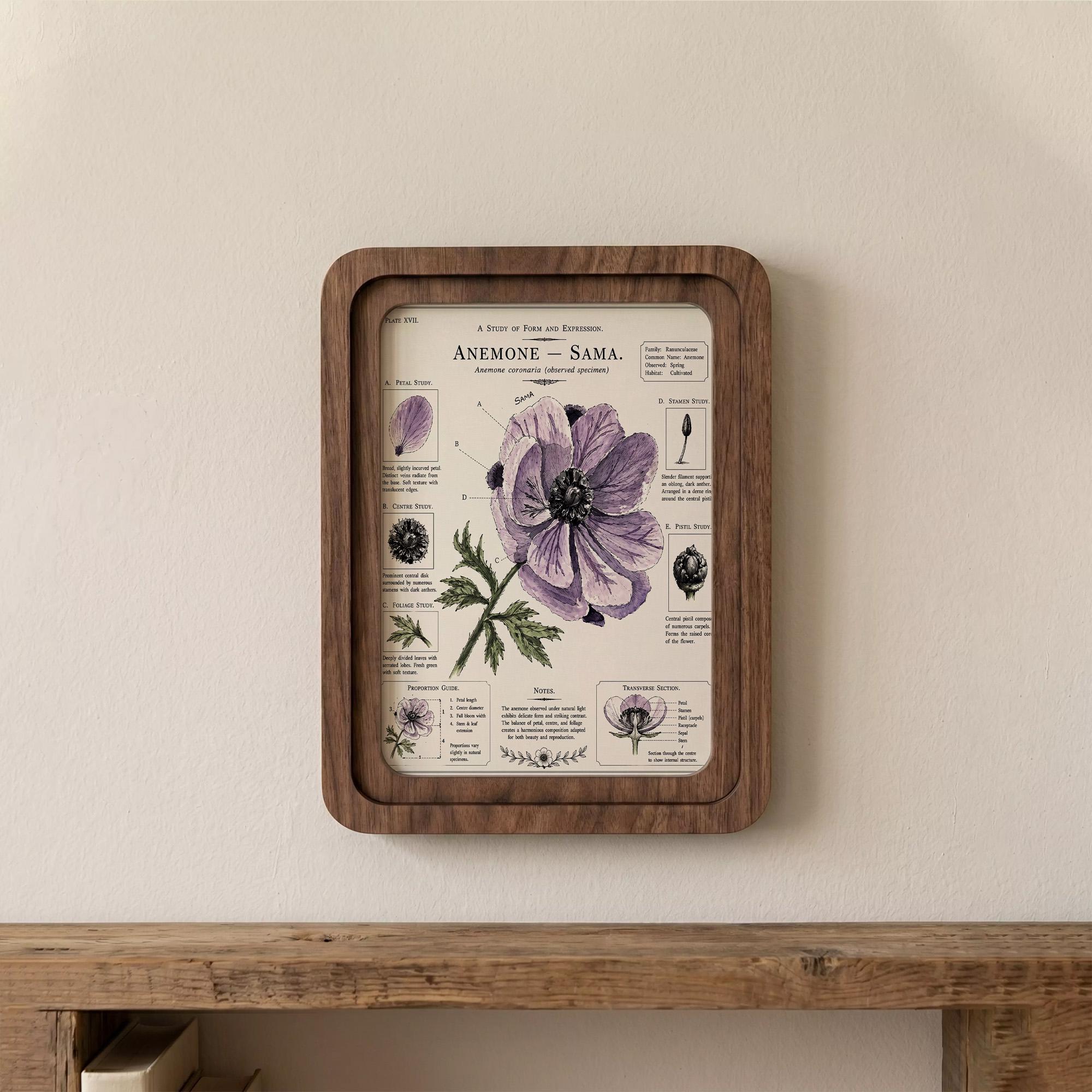 Anemone Wall Art, Purple Flower Botanical Print, Vintage Floral Decor, Framed Canvas Wood Art, Cottagecore Gift, Science Illustration, Art