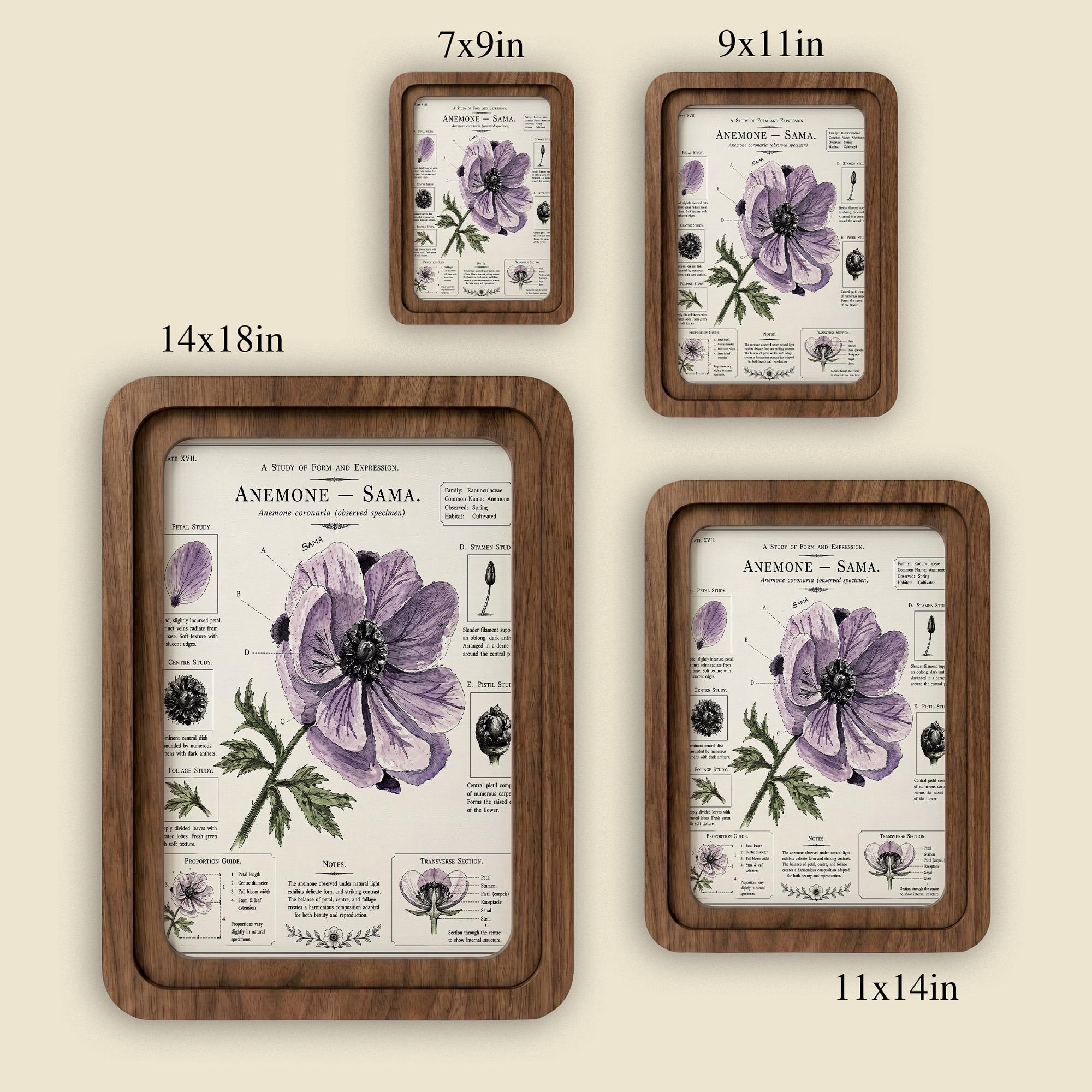 Anemone Wall Art, Purple Flower Botanical Print, Vintage Floral Decor, Framed Canvas Wood Art, Cottagecore Gift, Science Illustration, Art