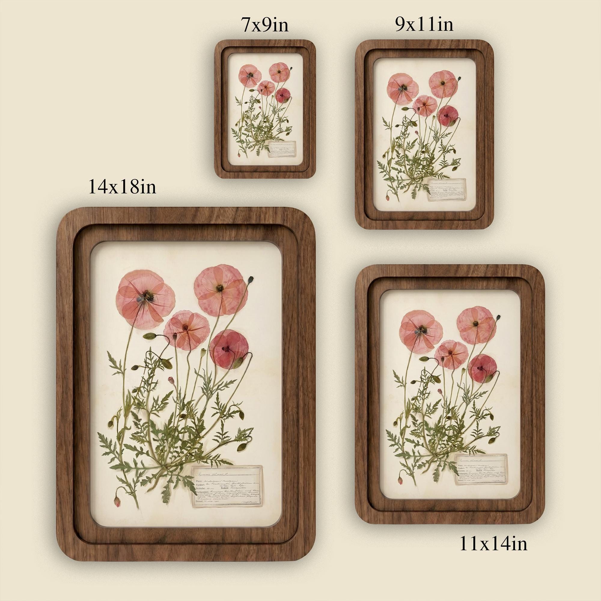 Pink Poppy Wall Art, Pressed Flower Print, Vintage Herbarium Decor, Framed Canvas Wood Art, Botanical Poppy Gift, Cottagecore Home Decor