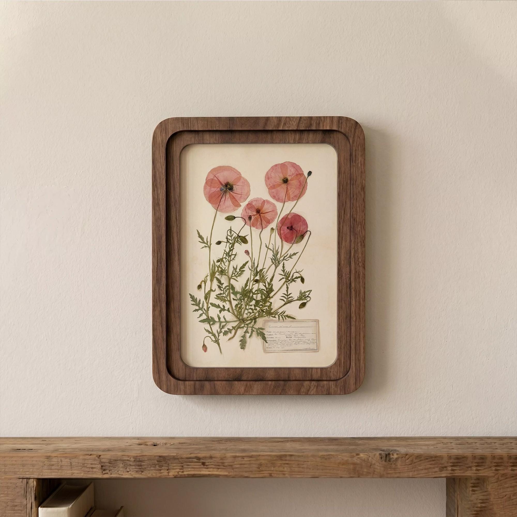 Pink Poppy Wall Art, Pressed Flower Print, Vintage Herbarium Decor, Framed Canvas Wood Art, Botanical Poppy Gift, Cottagecore Home Decor