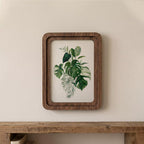 Monstera Wall Art, Tropical Leaf Print, Framed Canvas Wood Art, Boho Home Decor, Plant Lover Gift, Jungle Botanical Decor, Modern Wall Art