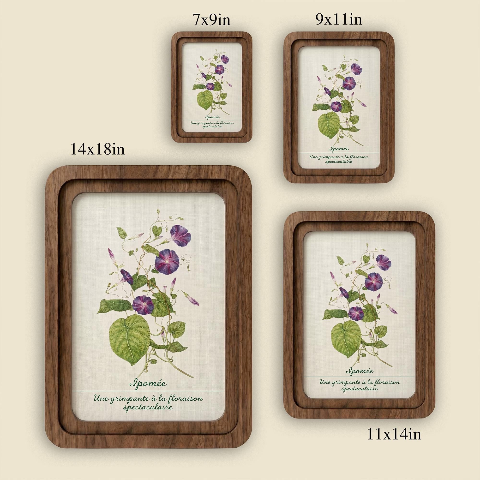 Morning Glory Wall Art, Vintage Botanical Print, Cottagecore Decor, Framed Canvas Wood Art, Purple Flower Gift, Ipomée Art,Nature Wall Decor