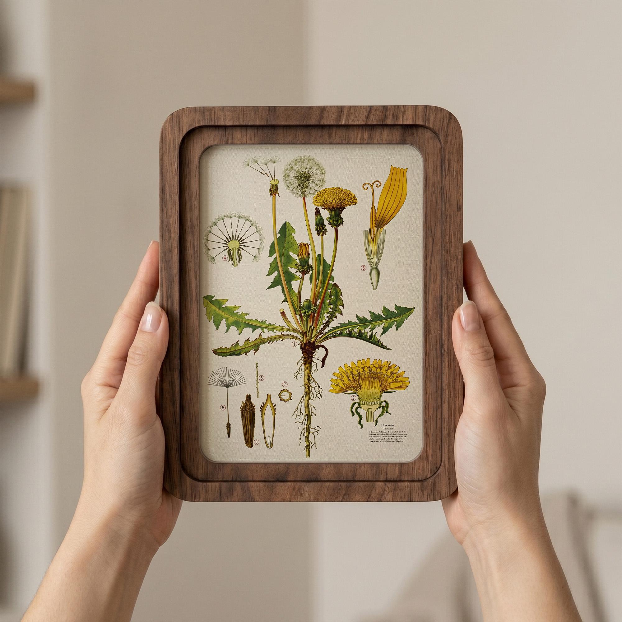 Dandelion Wall Art, Vintage Botanical Print, Cottagecore Decor, Framed Canvas Wood Art, Yellow Flower Gift, Nature Study Art,Farmhouse Decor