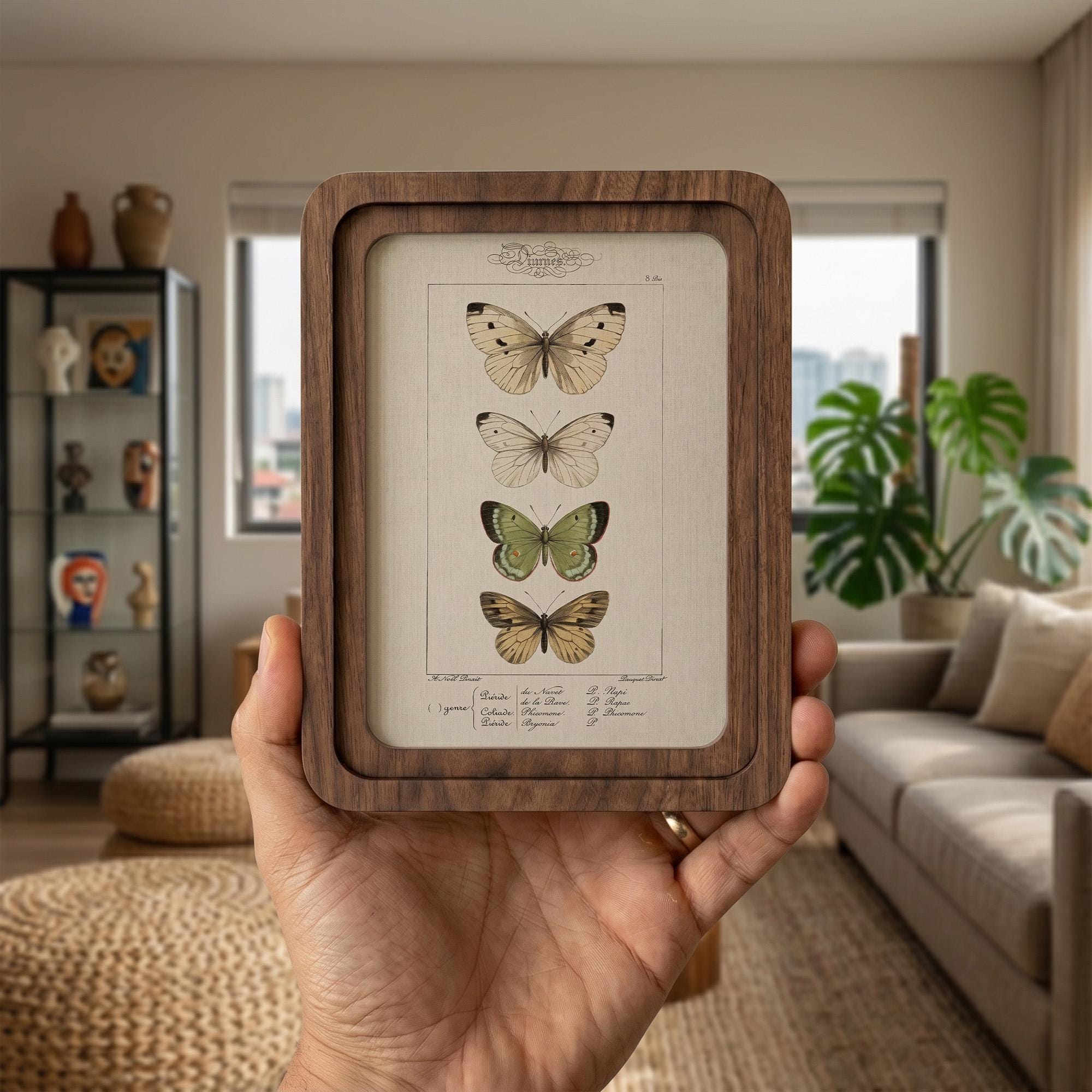 Butterfly Wall Art, Vintage Botanical Print, Cottagecore Decor, Framed Canvas Wood Art, Entomology Gift, Nature Wall Decor, Aesthetic Gift