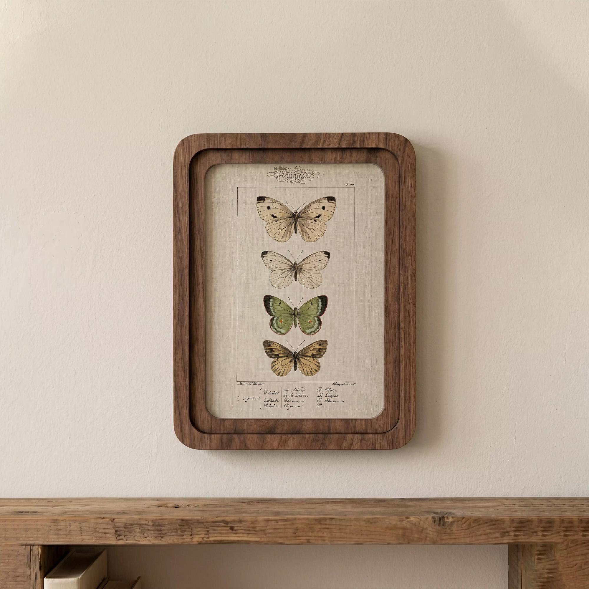 Butterfly Wall Art, Vintage Botanical Print, Cottagecore Decor, Framed Canvas Wood Art, Entomology Gift, Nature Wall Decor, Aesthetic Gift