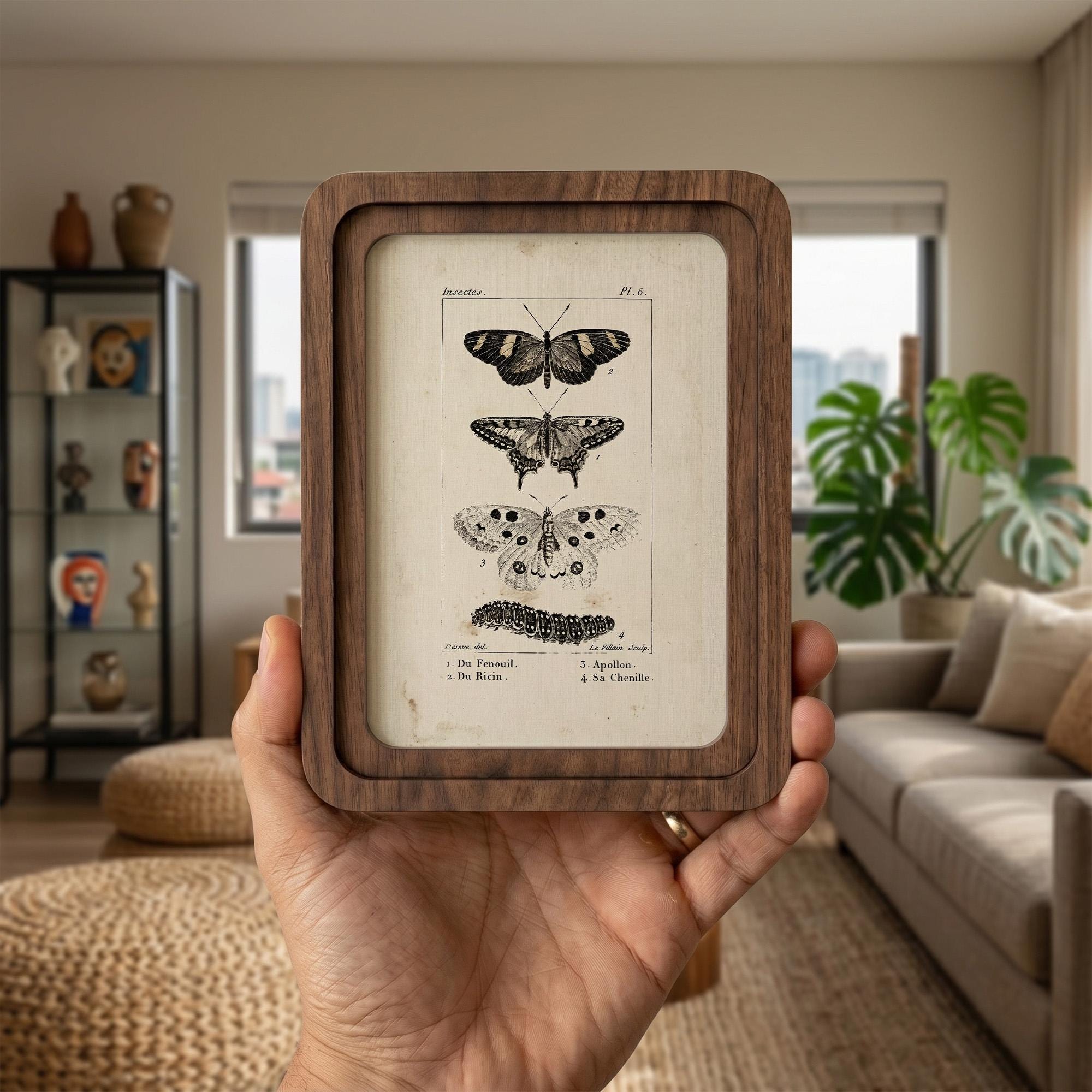 Butterfly Wall Art, Vintage Moth Poster, Cottagecore Decor, Framed Canvas Wood Art, Botanical Illustration, Dark Academia Decor, Nature Gift