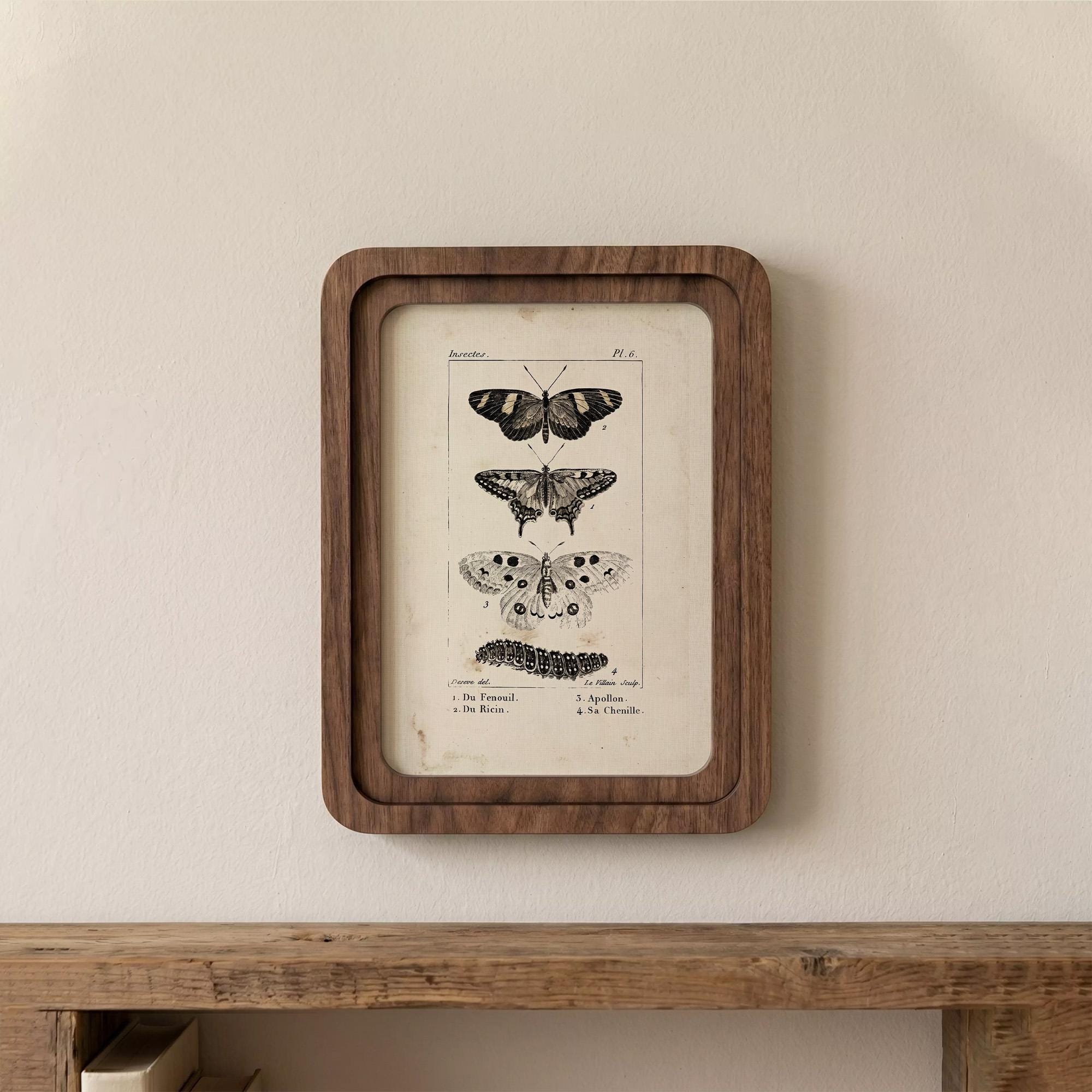 Butterfly Wall Art, Vintage Moth Poster, Cottagecore Decor, Framed Canvas Wood Art, Botanical Illustration, Dark Academia Decor, Nature Gift