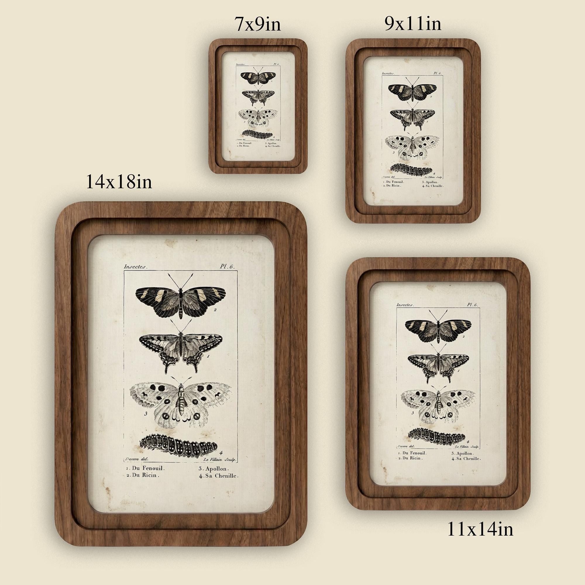 Butterfly Wall Art, Vintage Moth Poster, Cottagecore Decor, Framed Canvas Wood Art, Botanical Illustration, Dark Academia Decor, Nature Gift