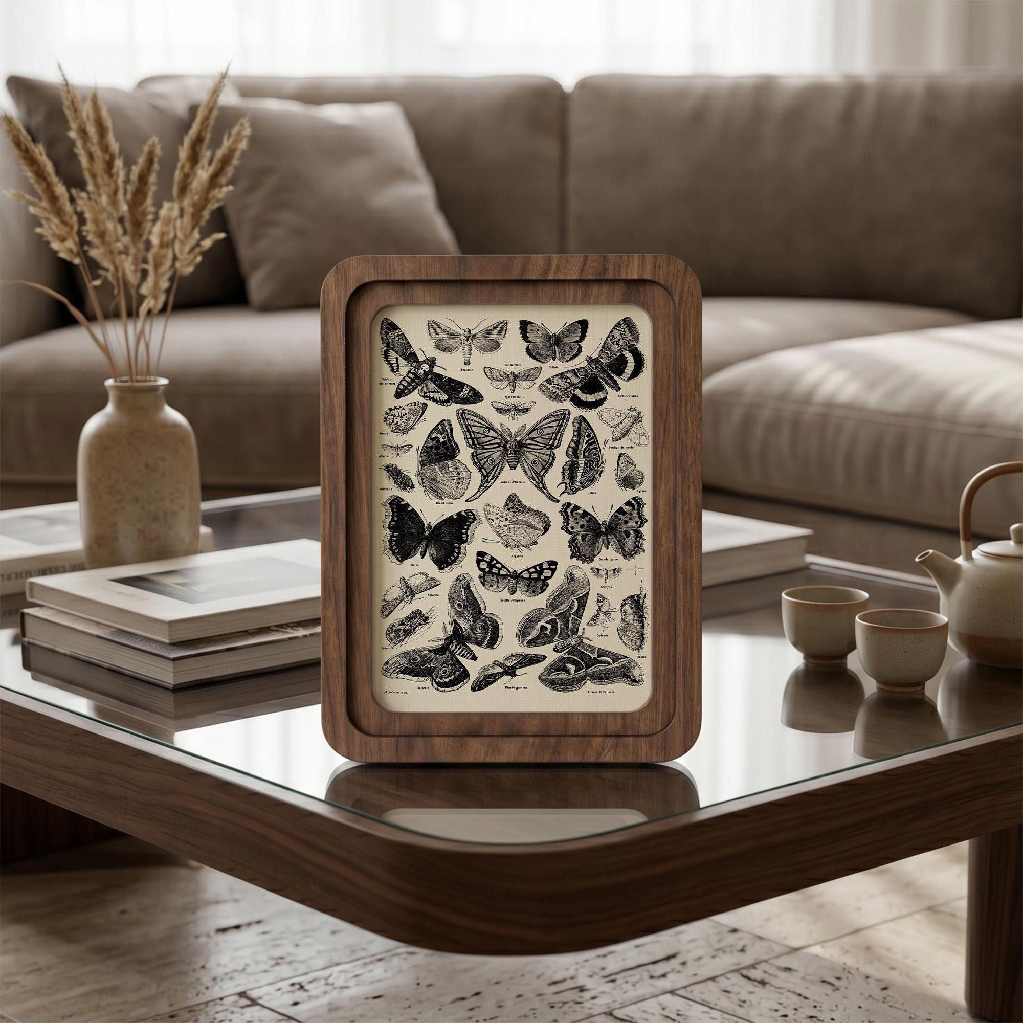Butterfly Wall Art, Vintage Moth Print, Cottagecore Decor, Framed Canvas Wood Art, Entomologist Gift, Dark Academia Wall Decor, Nature Gift